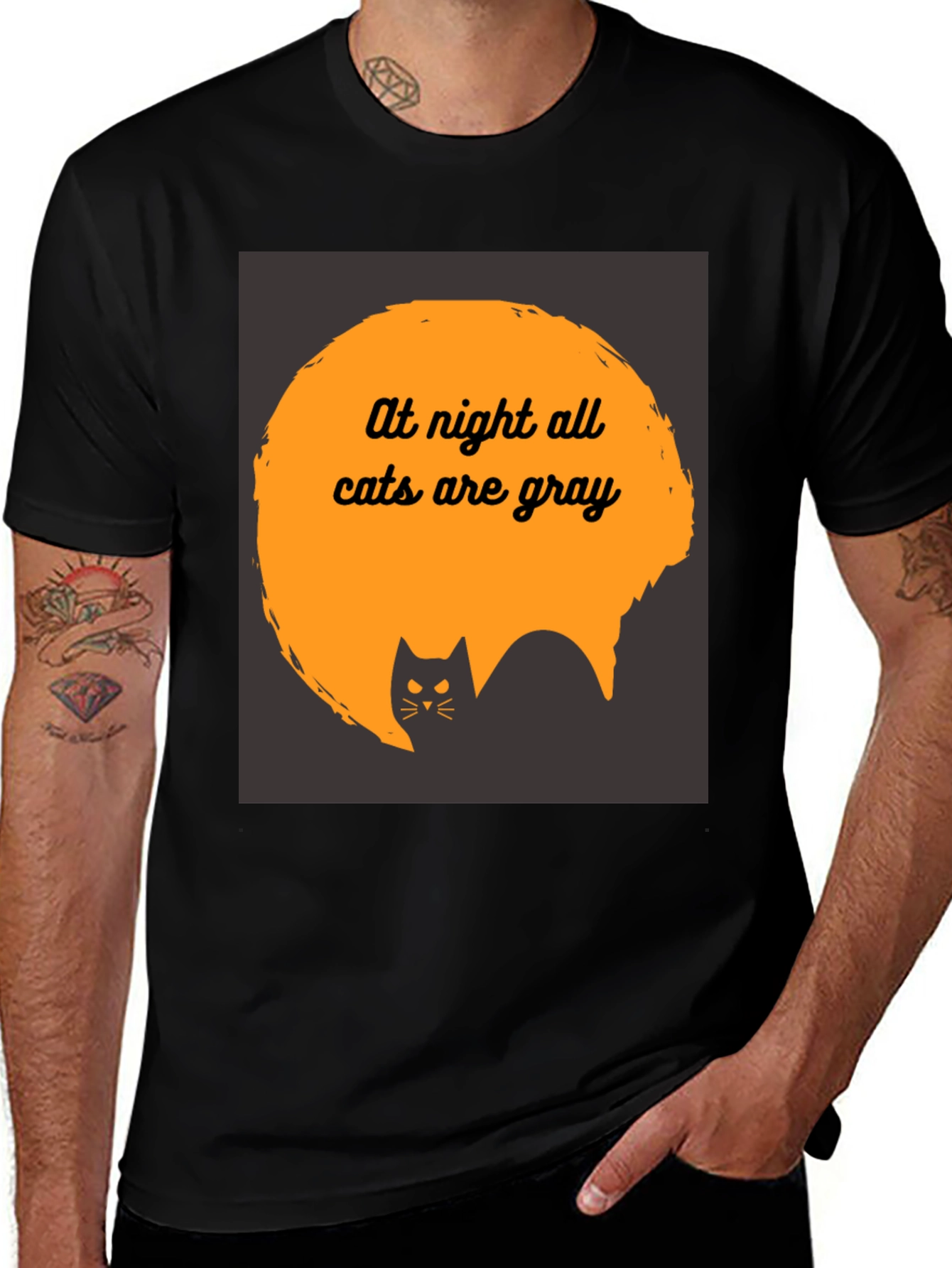 Variant 14 of At Night All Cats are Gray T-Shirt