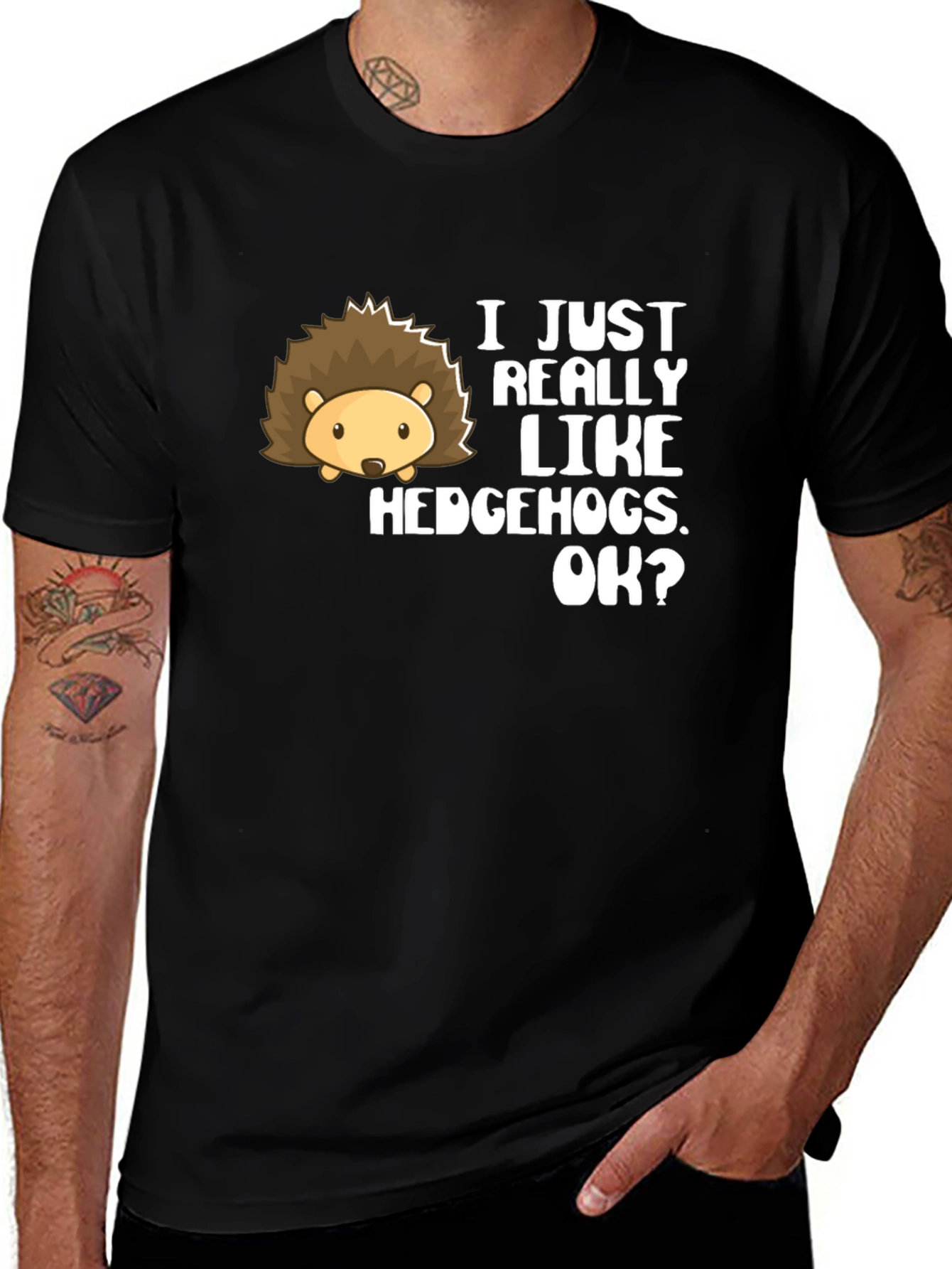 Variant 15 of I Just Really Like Hedgehogs T-Shirt
