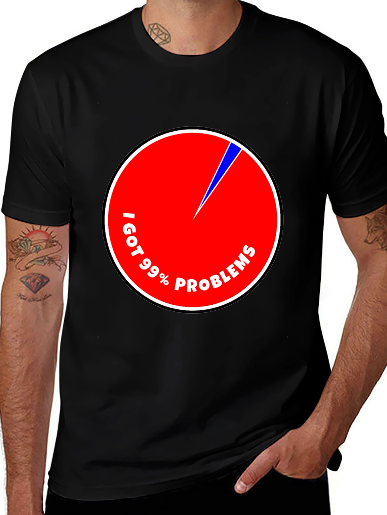 Variant 17 of 99% Problems Pie Chart T-Shirt - Funny Humor Tee