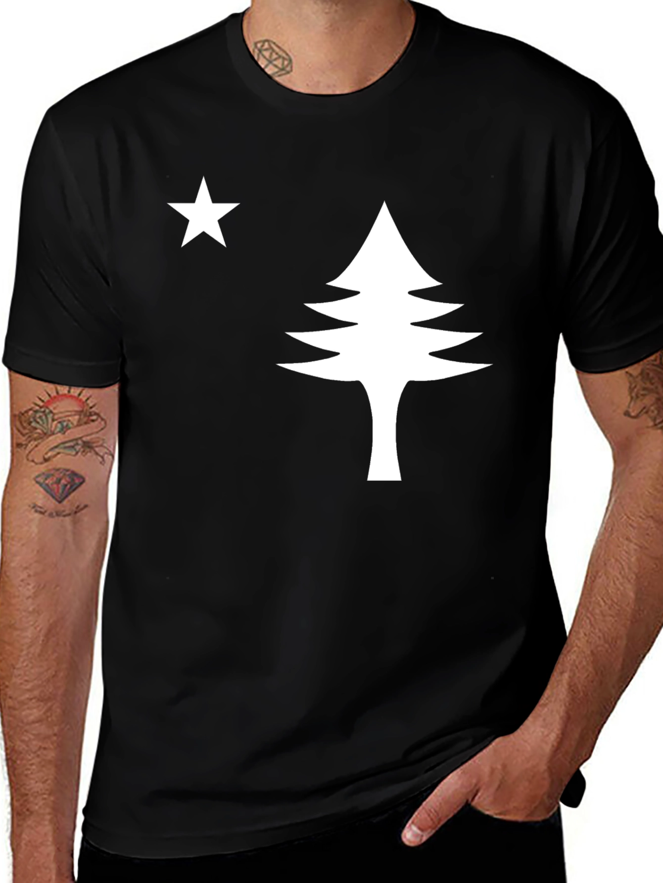 Maine Flag Black T-Shirt