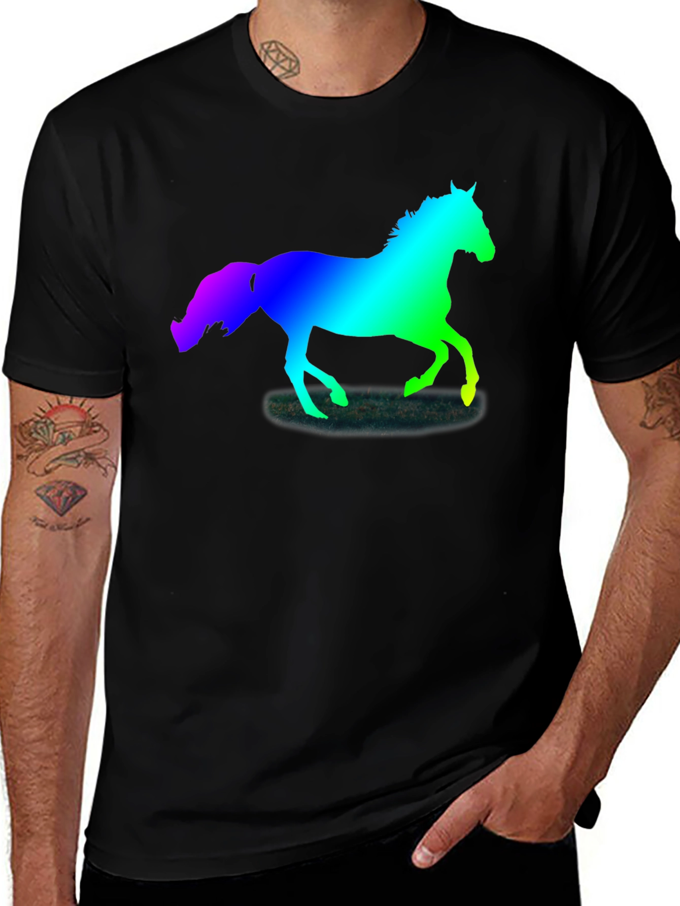 Variant 29 of Rainbow Horse Silhouette Black T-Shirt