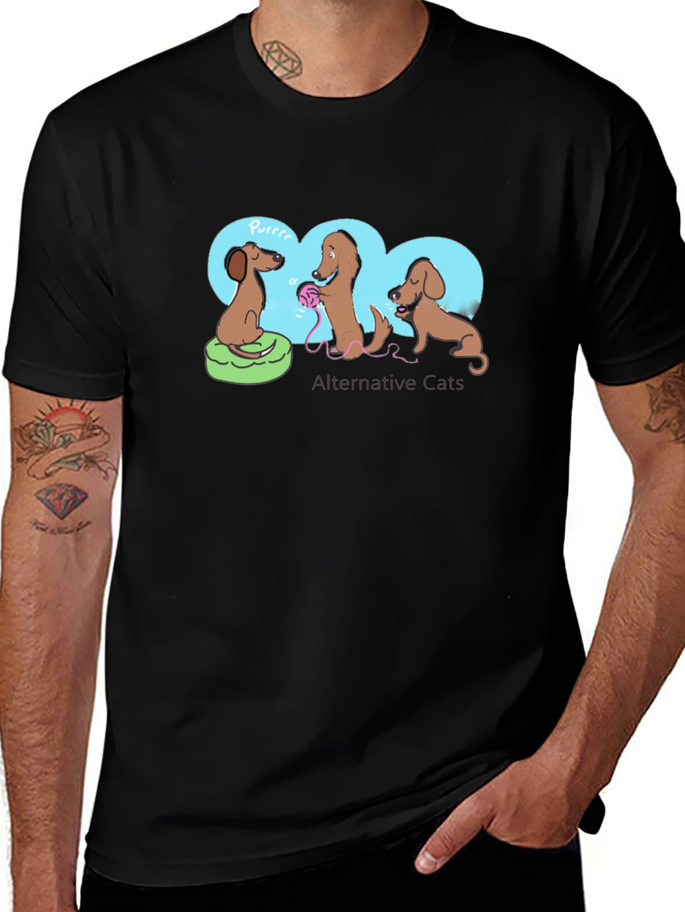 Variant 16 of Dachshund 'Alternative Cats' Graphic Tee