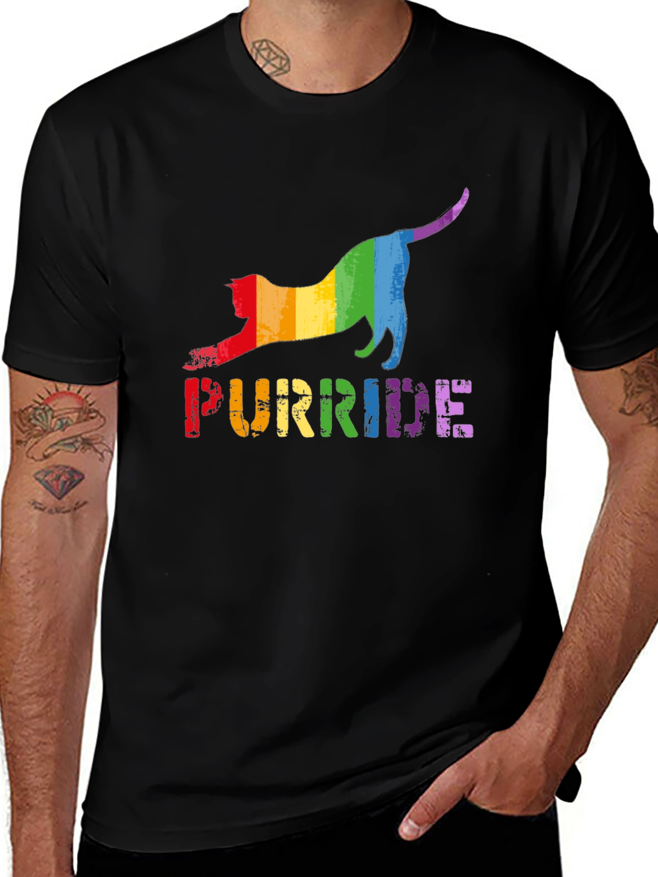 Variant 24 of Purride T-Shirt - Rainbow Cat Pride