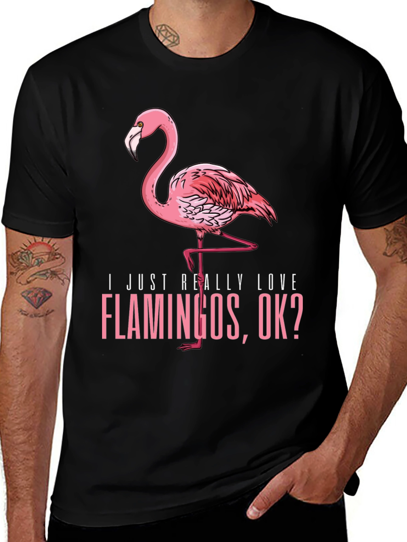 Variant 22 of Funny Flamingo Graphic Tee - I Just Really Love Flamingos, OK?