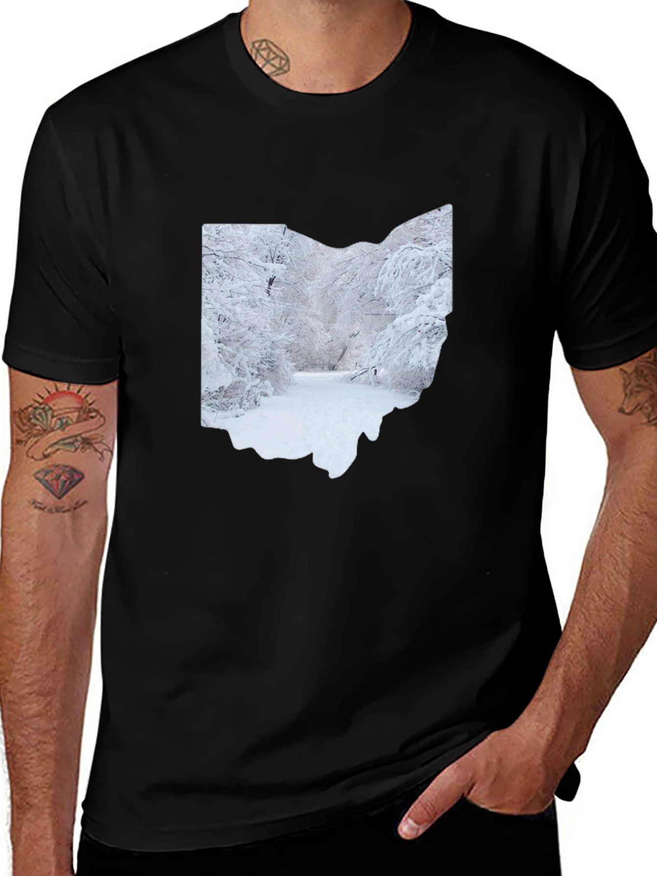 Variant 17 of Ohio Winter Scene Graphic Tee