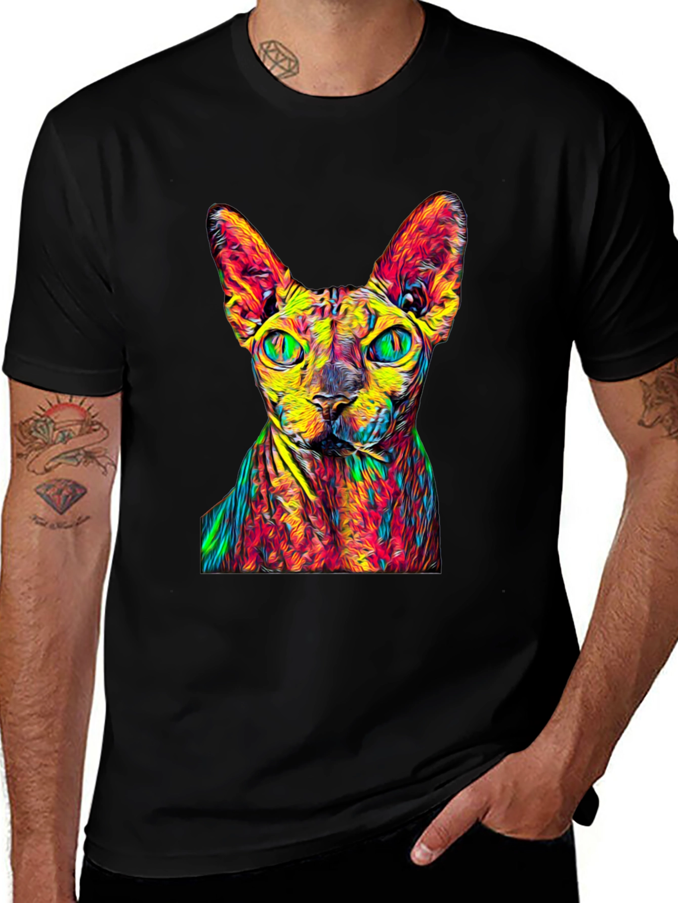 Variant 17 of Sphynx Cat Colorful Graphic Black T-Shirt