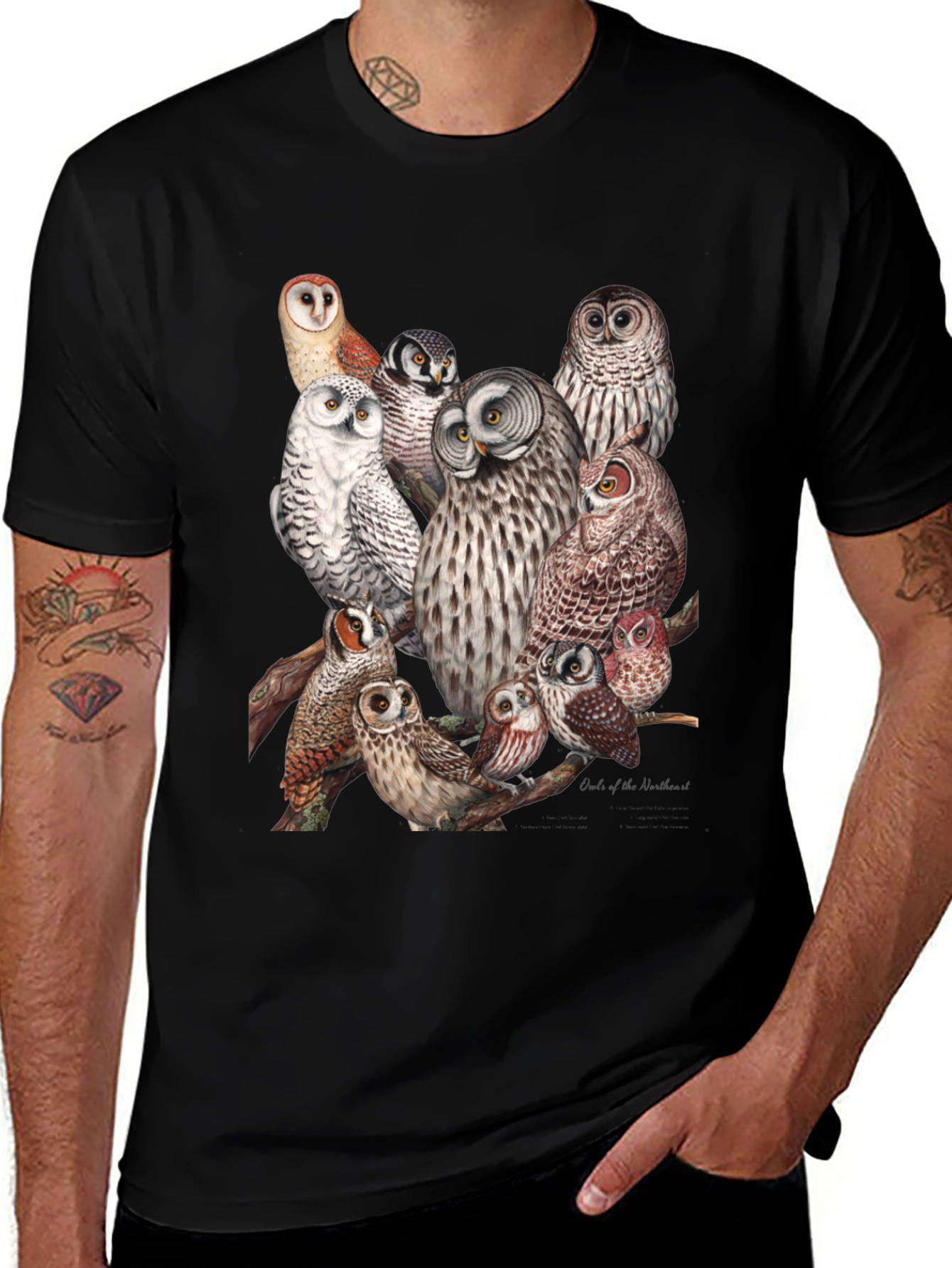 Variant 25 of Owl Print Black T-Shirt