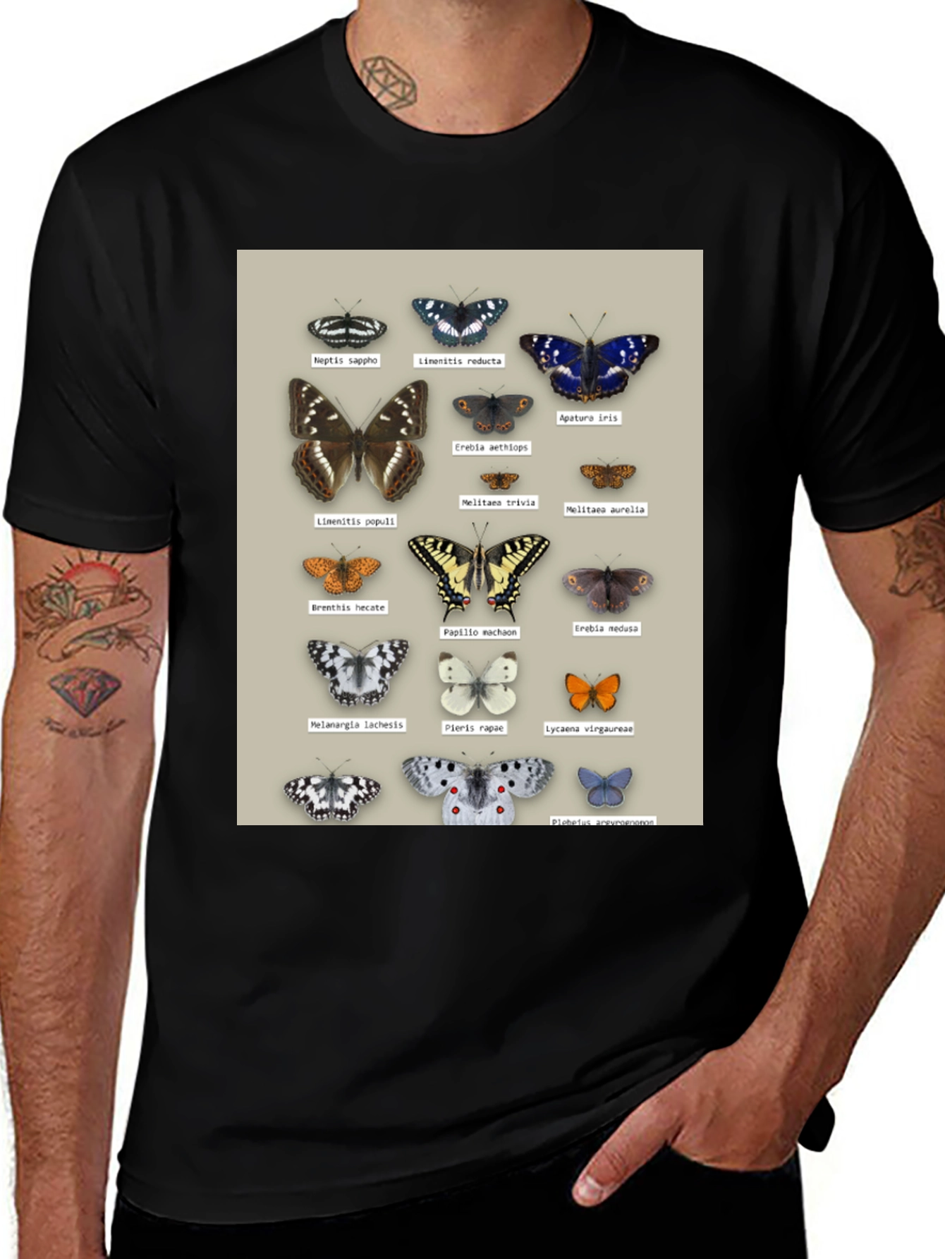 Variant 6 of Butterfly Print T-Shirt | Nature Lover Apparel