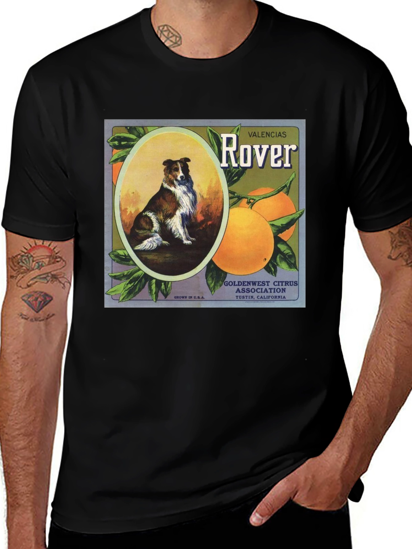 Dog & Orange Valencias Rover Graphic Tee