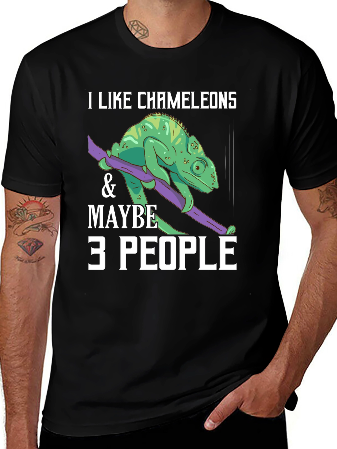 Variant 12 of I Like Chameleons & Maybe 3 People T-Shirt