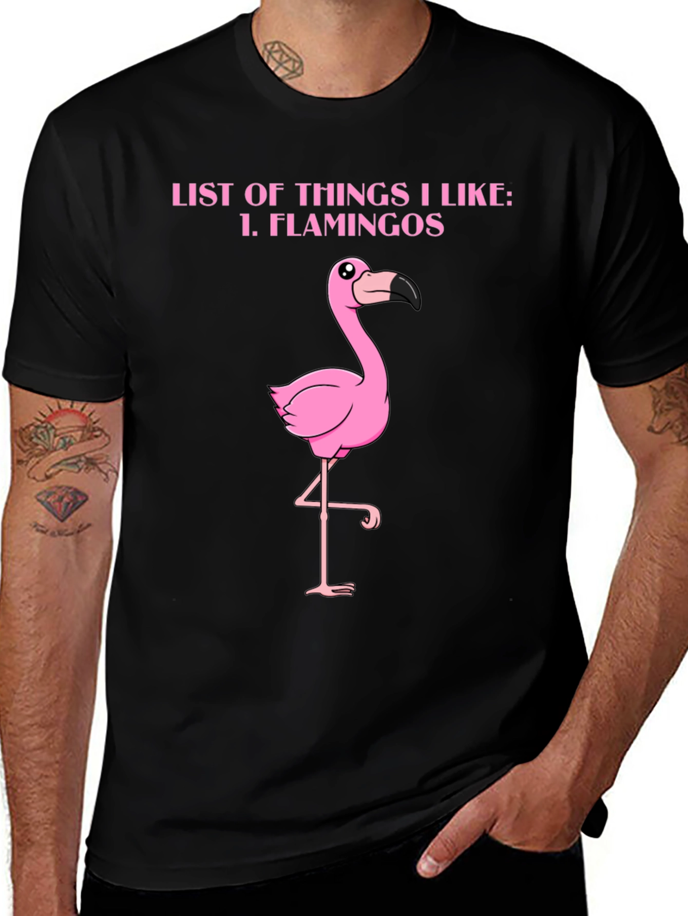 Variant 22 of Funny Flamingo T-Shirt - List of Things I Like