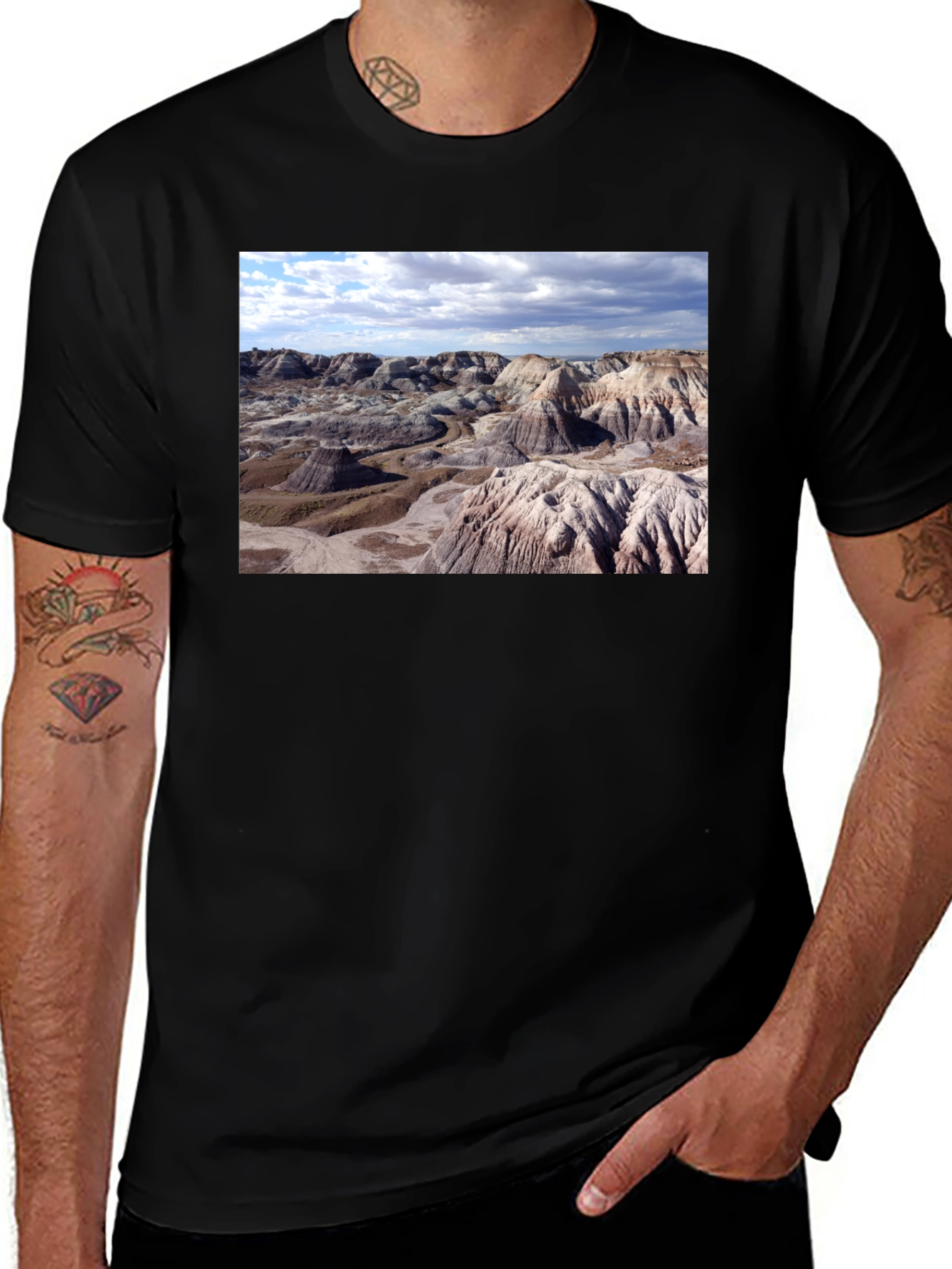 Variant 21 of Petrified Forest Landscape Graphic Tee - Black