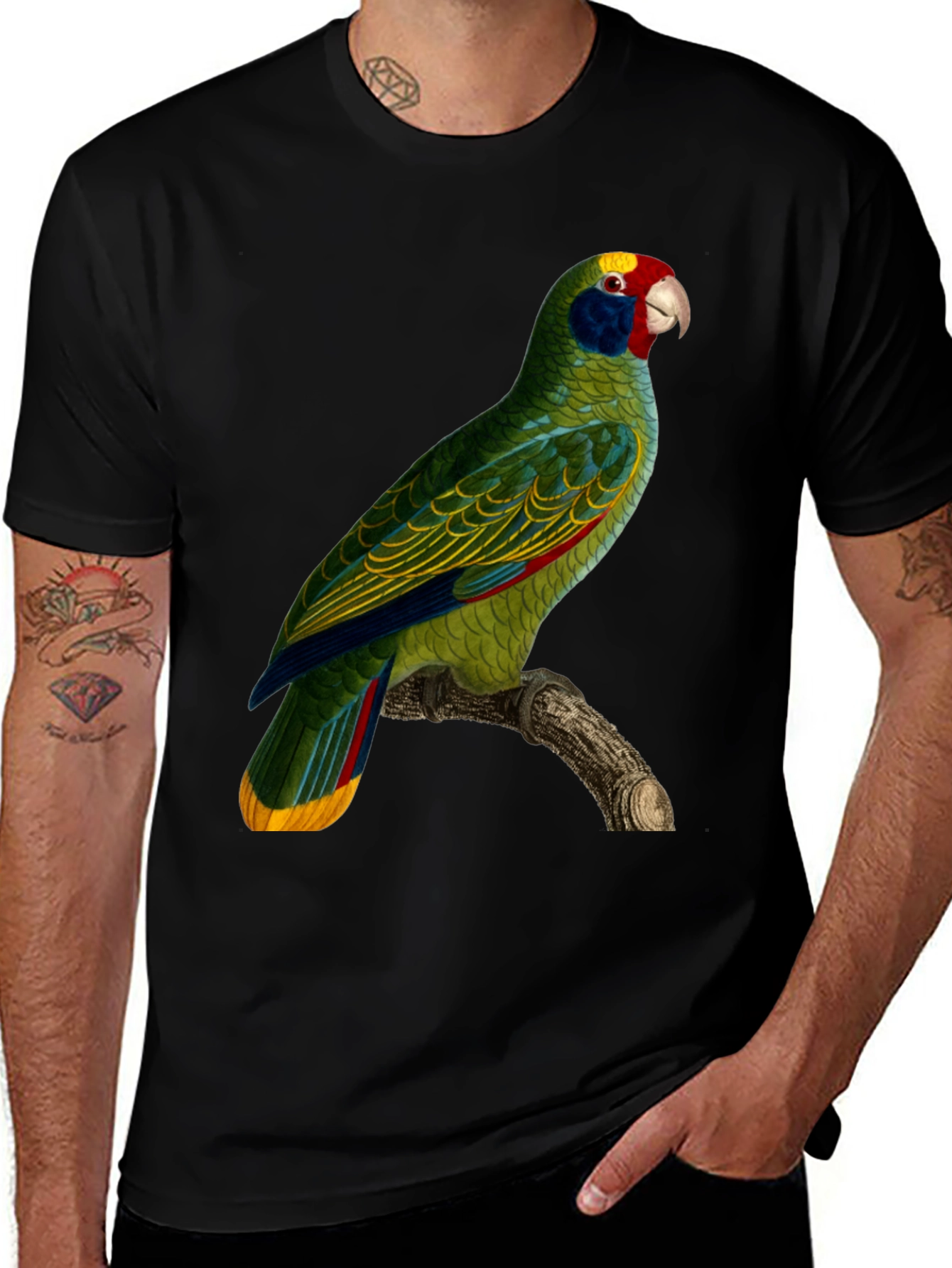 Variant 27 of Parrot Graphic T-Shirt - Men's Black Tee