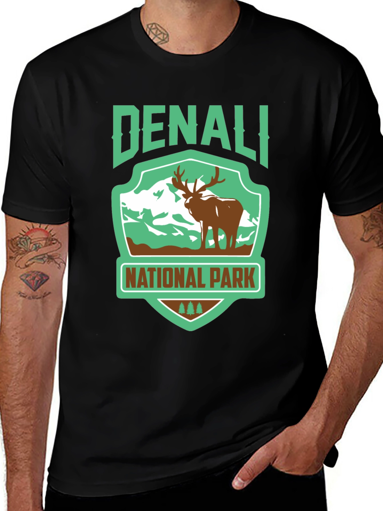 Denali National Park Graphic T-Shirt