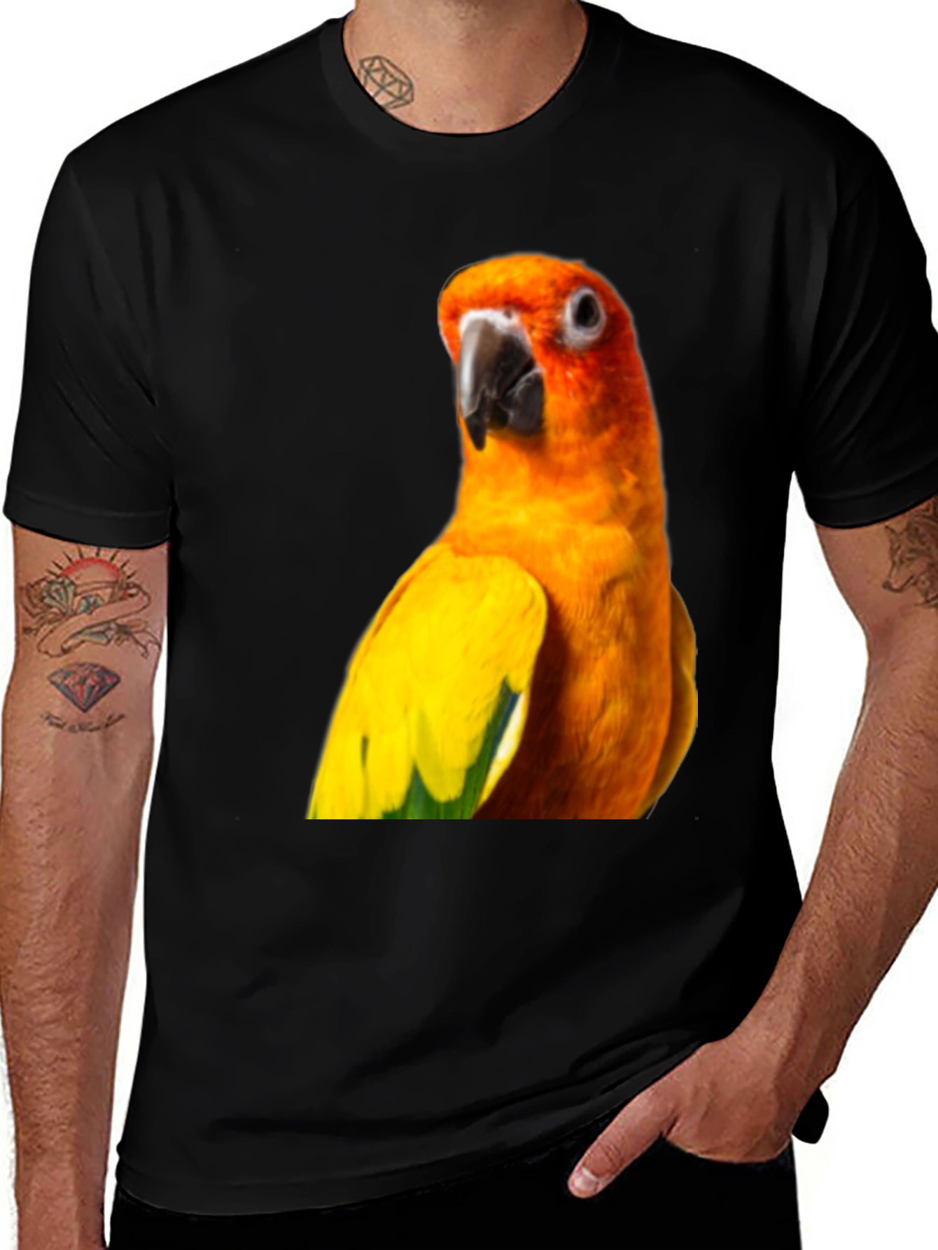 Variant 21 of Parrot Graphic Tee - Vivid Bird Print Shirt