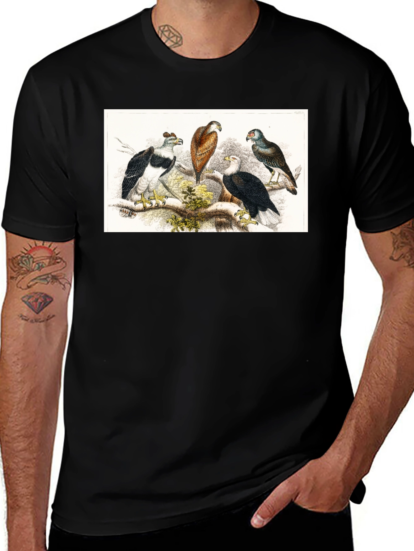 Variant 15 of Vintage Bird Print Black T-Shirt