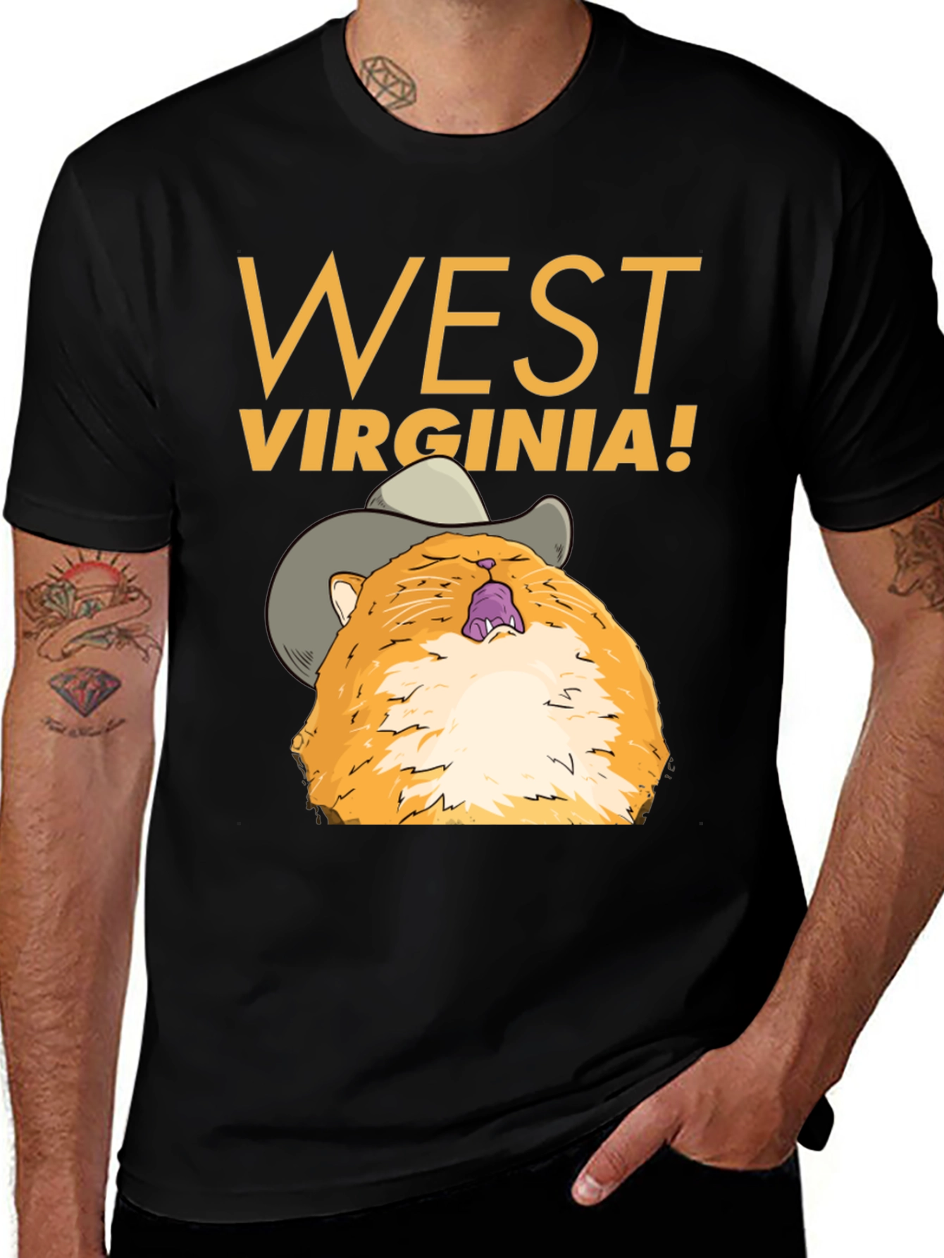 Variant 25 of West Virginia Cat Graphic Tee