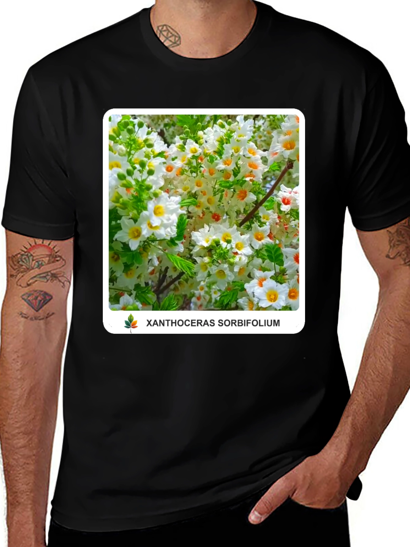 Xanthoceras Sorbifolium Black T-Shirt