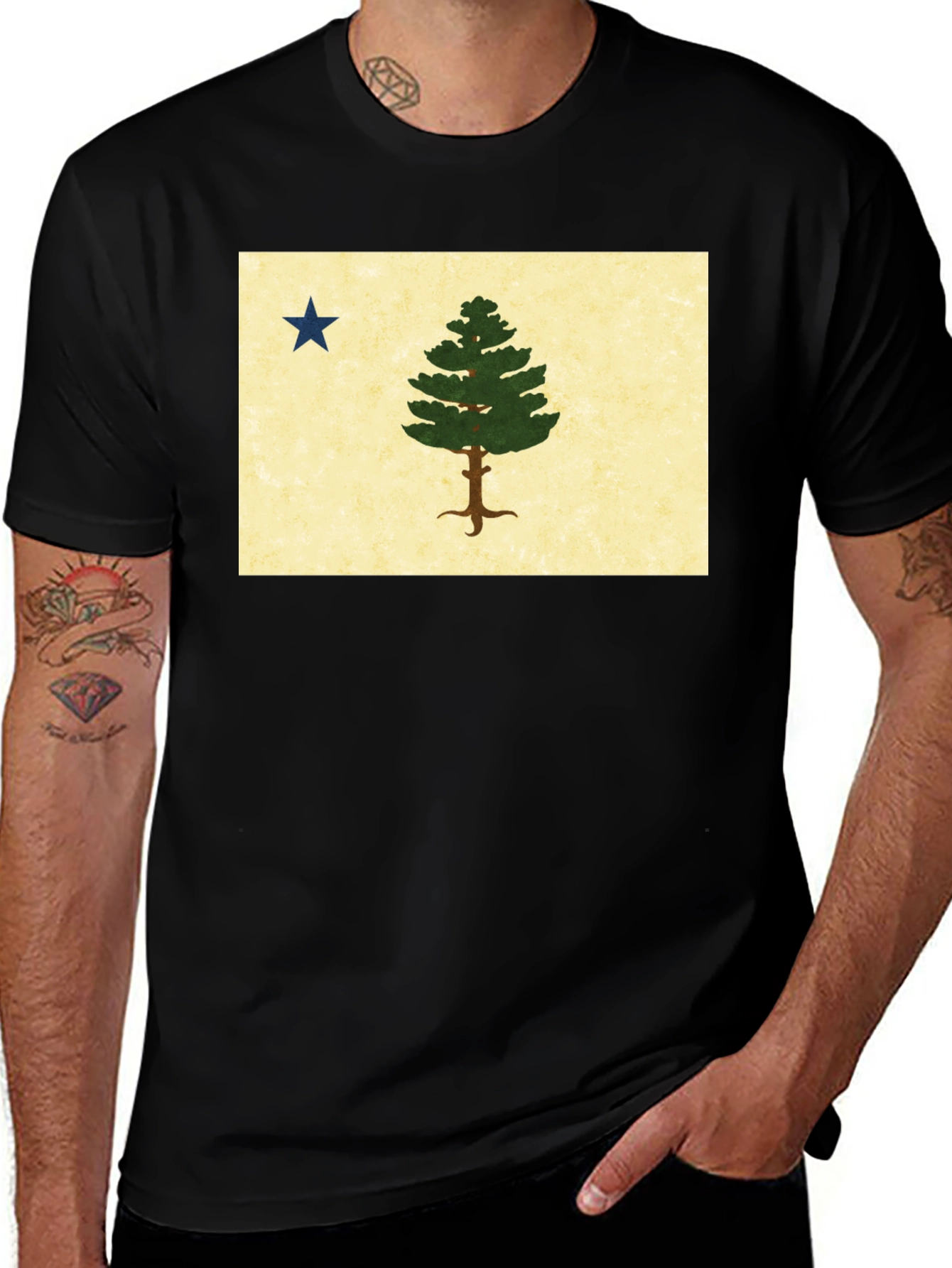 Variant 27 of Maine Flag Black Tee - Vintage State Pride Shirt