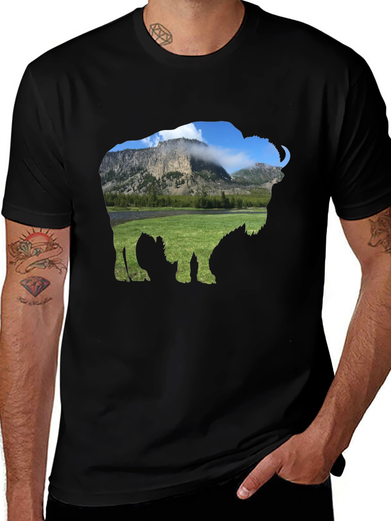 Variant 18 of Bison Landscape Graphic Tee