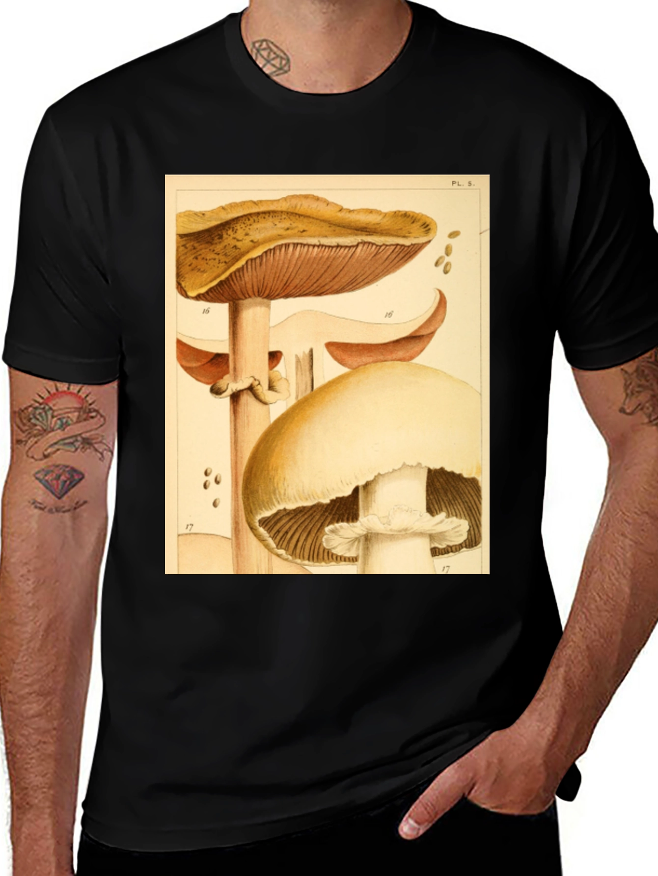 Variant 6 of Mushroom Print Graphic T-Shirt - Vintage Style