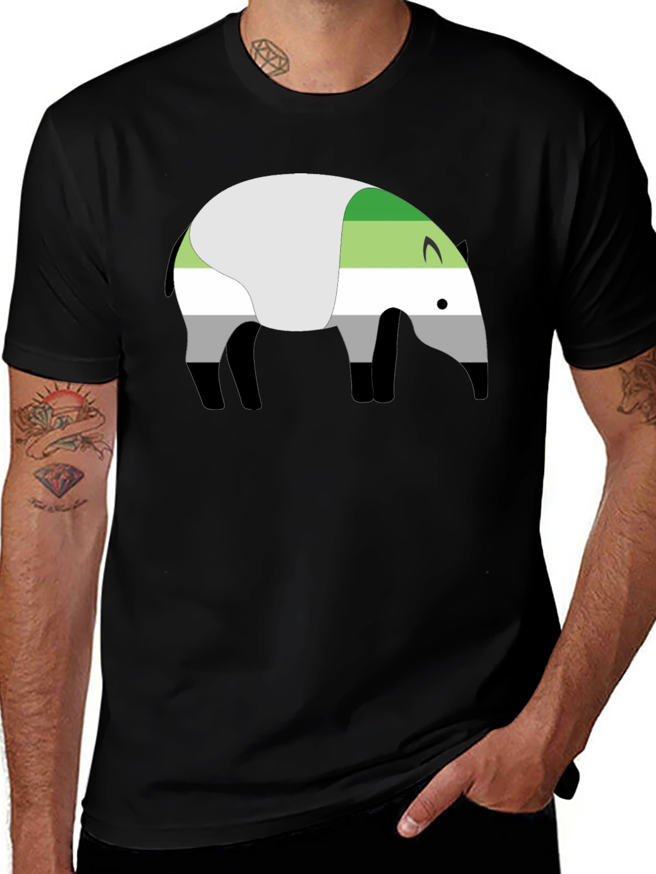 Aromantic Pride Tapir Graphic Tee
