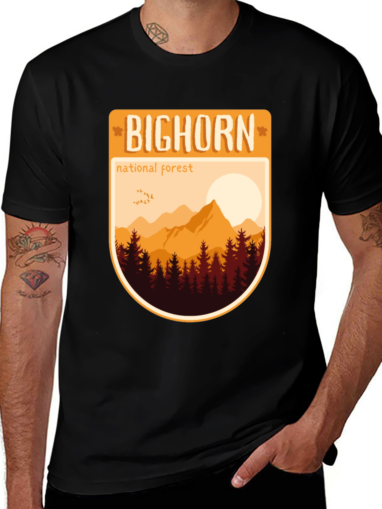 Variant 25 of Bighorn National Forest T-Shirt - Graphic Tee