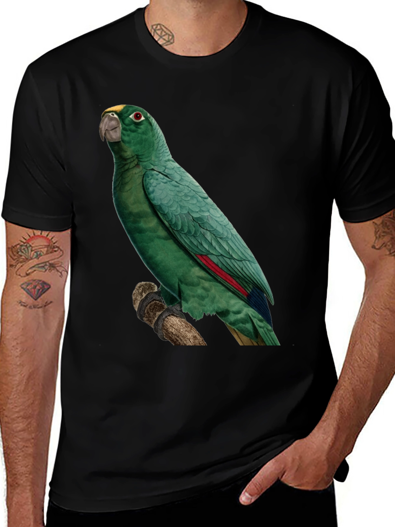 Variant 12 of Parrot Graphic Print T-Shirt