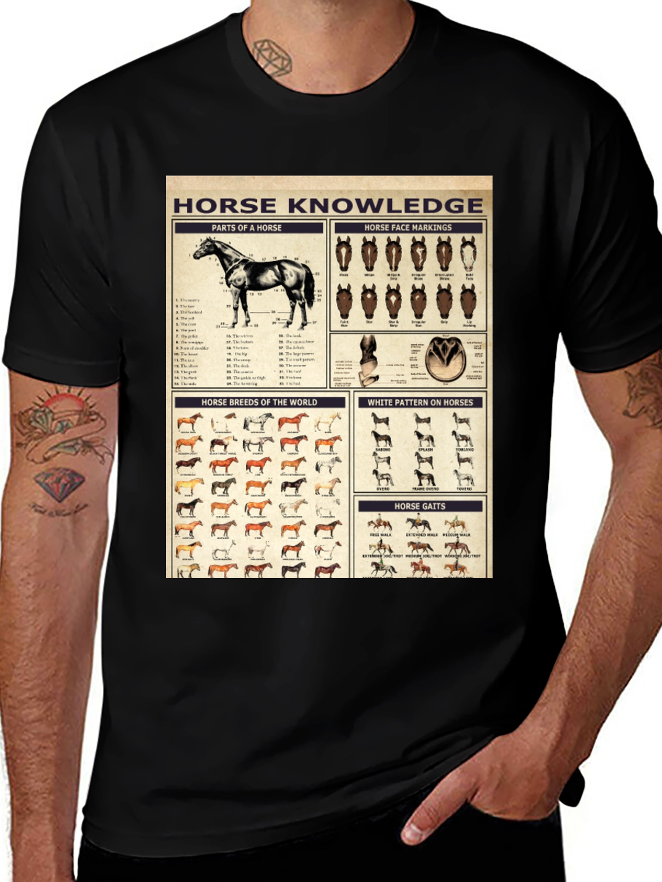Horse Knowledge T-Shirt | Equestrian Anatomy & Breeds Tee
