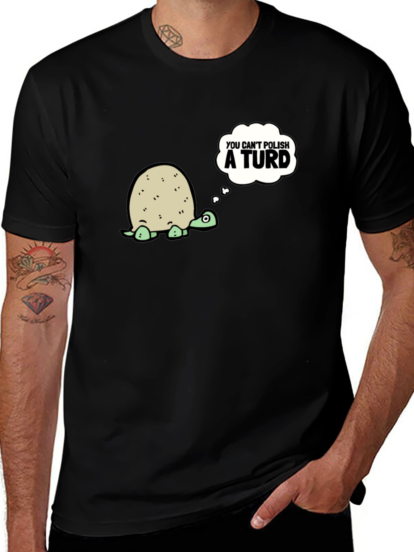 Variant 11 of Humorous Turtle Graphic Tee - You Can't Polish a Turd