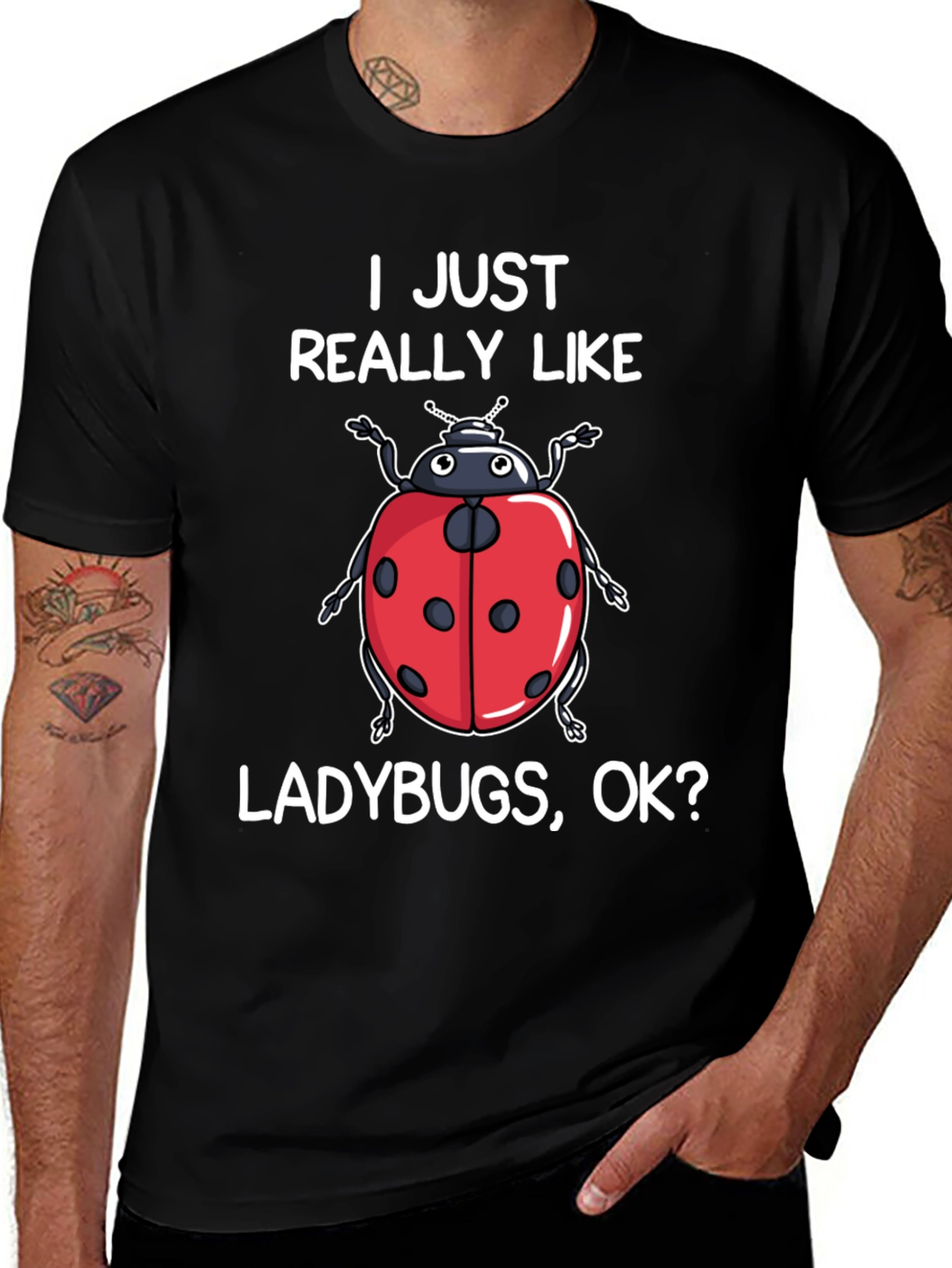 Variant 19 of Ladybug Lover T-Shirt - I Just Really Like Ladybugs, OK?