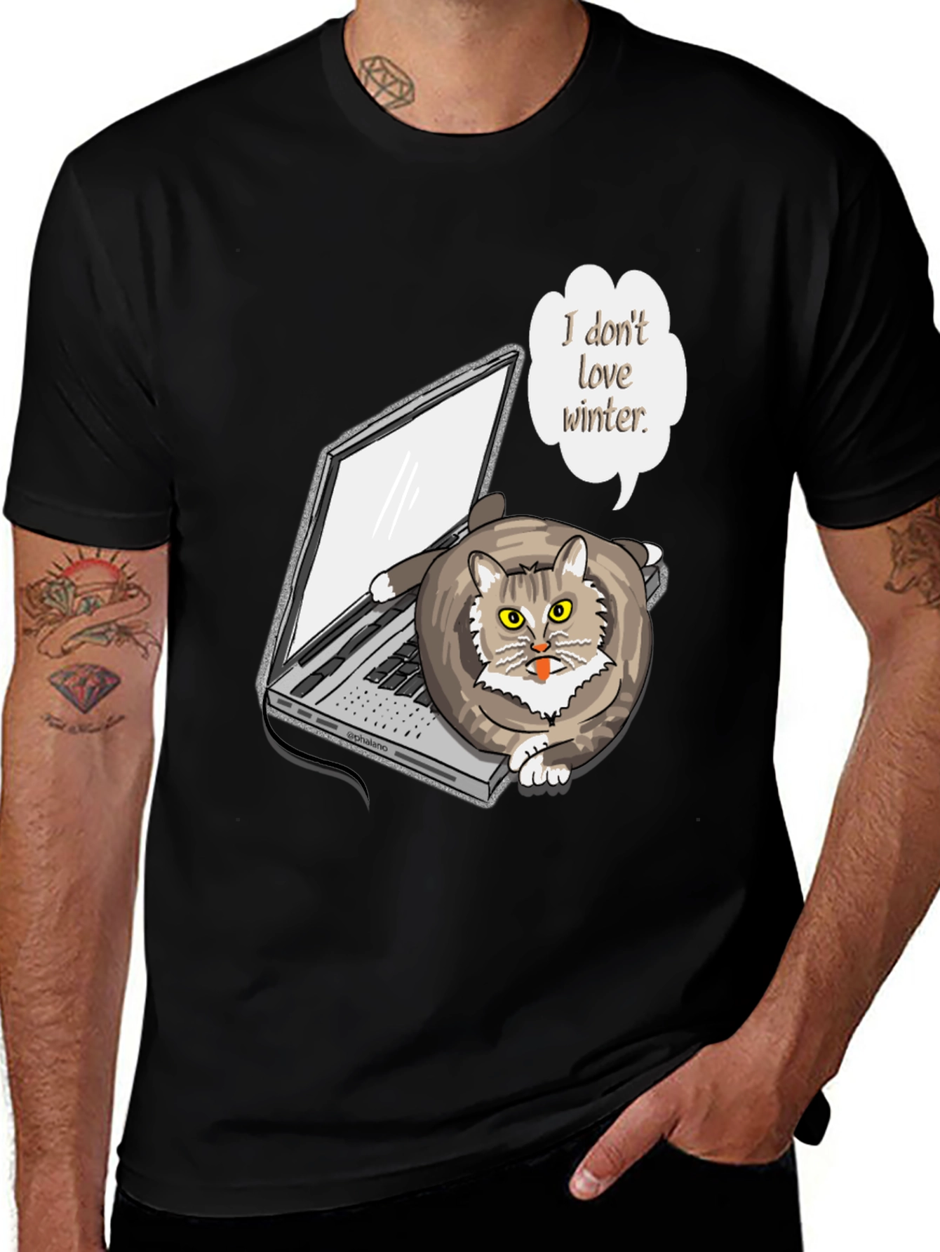 Variant 27 of Funny "I Don't Love Winter" Cat T-Shirt