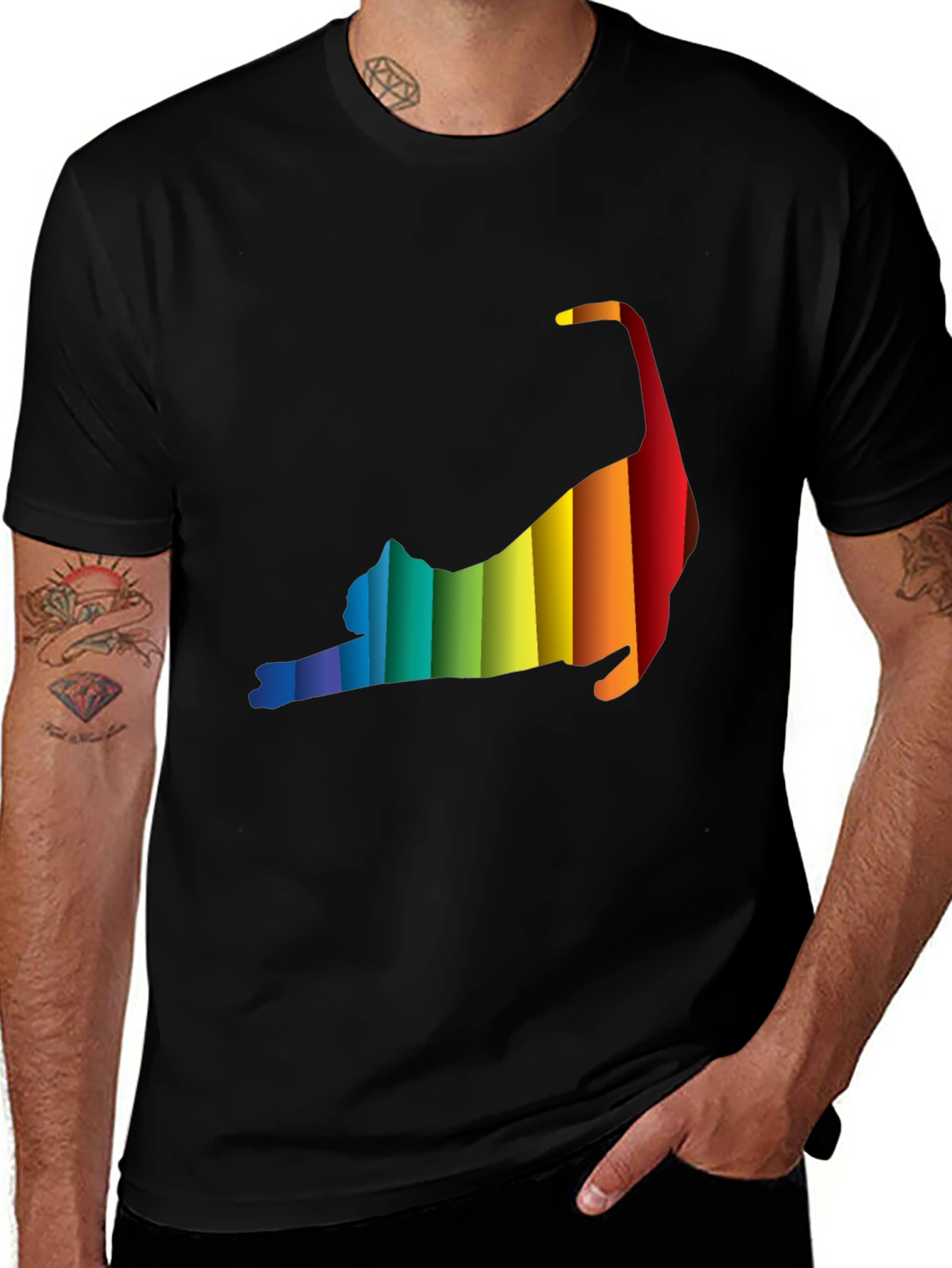 Variant 24 of Rainbow Cat Silhouette Black T-Shirt