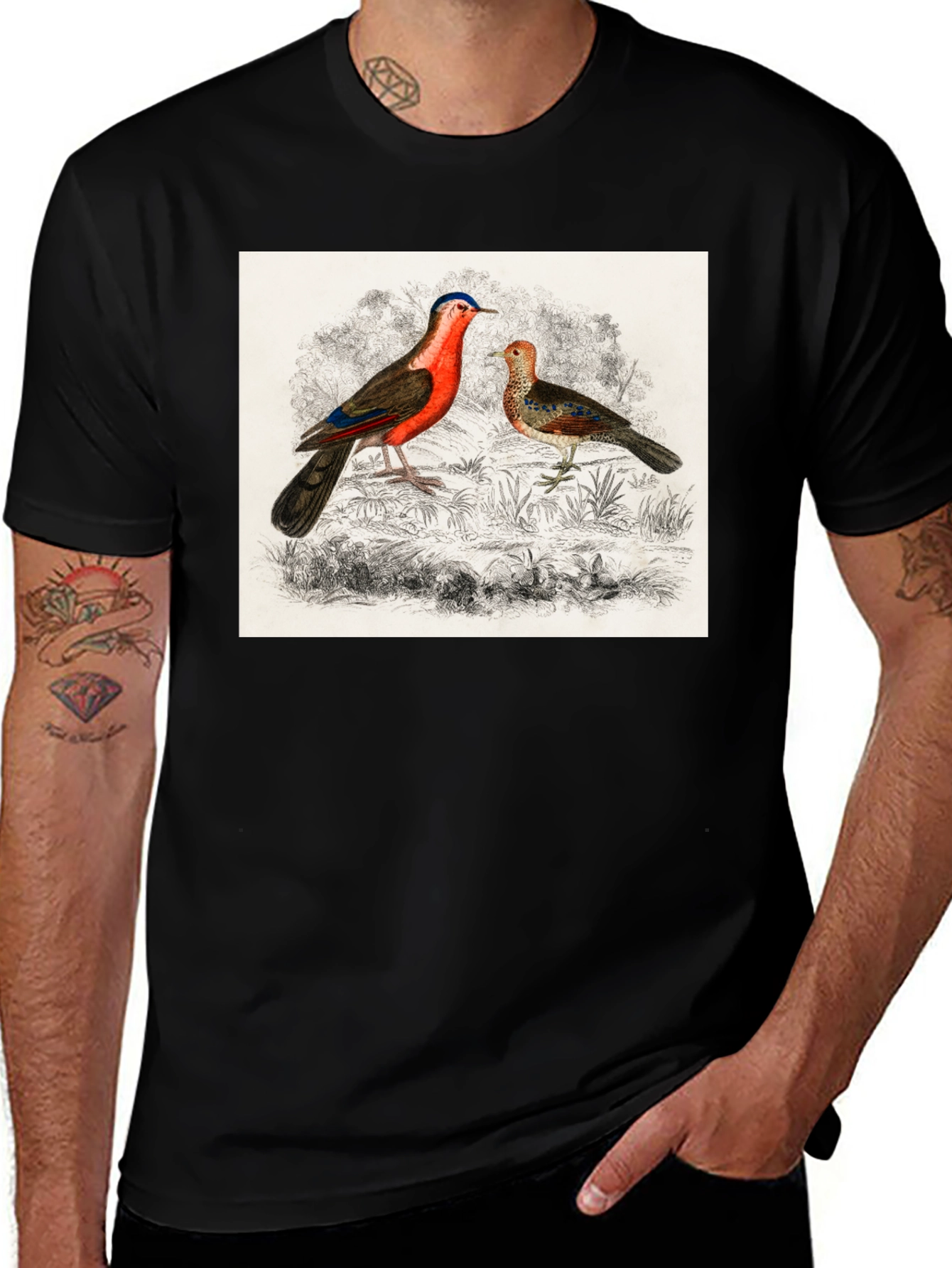 Variant 10 of Vintage Bird Illustration T-Shirt