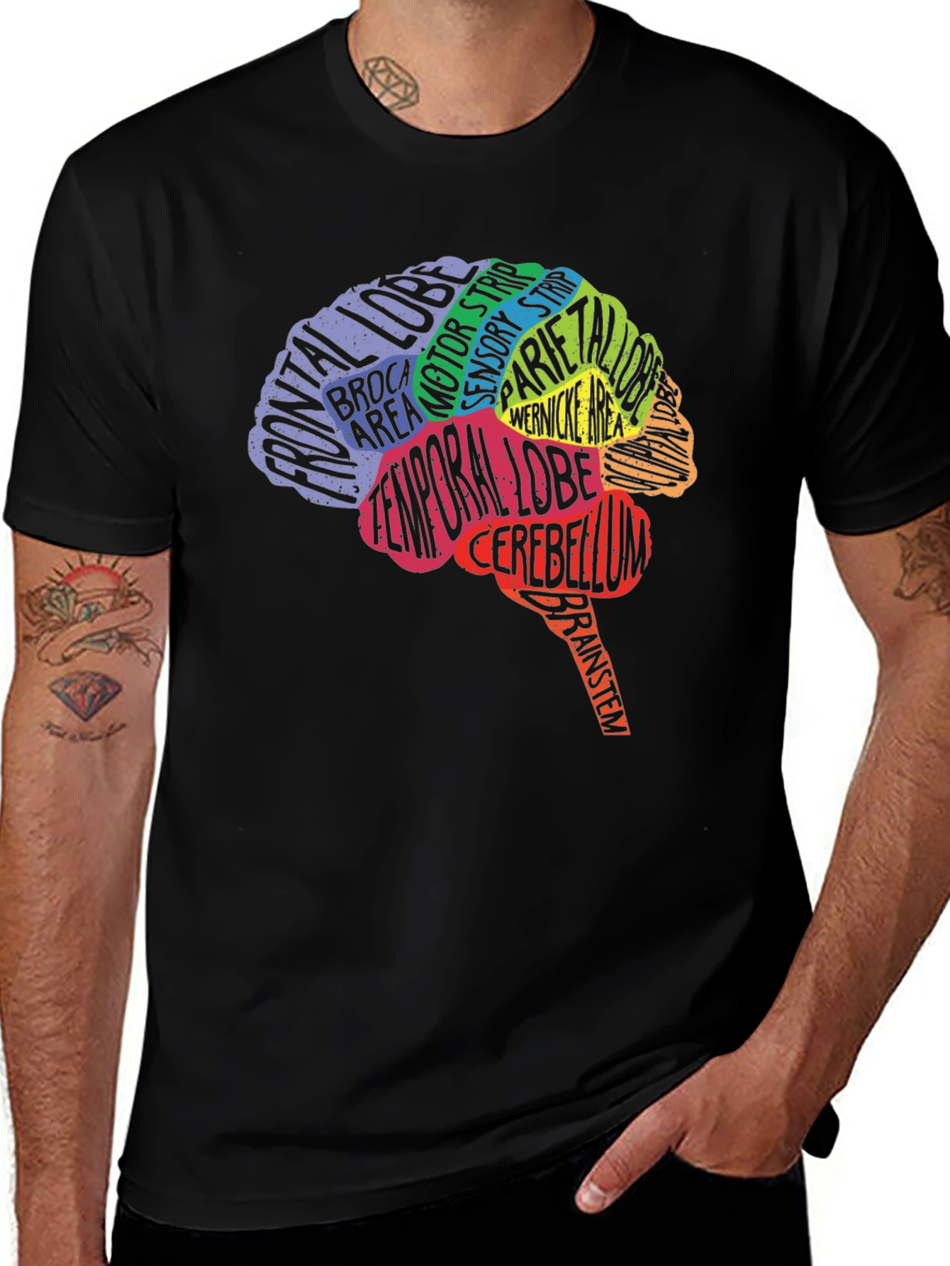 Brain Anatomy Graphic Tee - Black Cotton T-Shirt