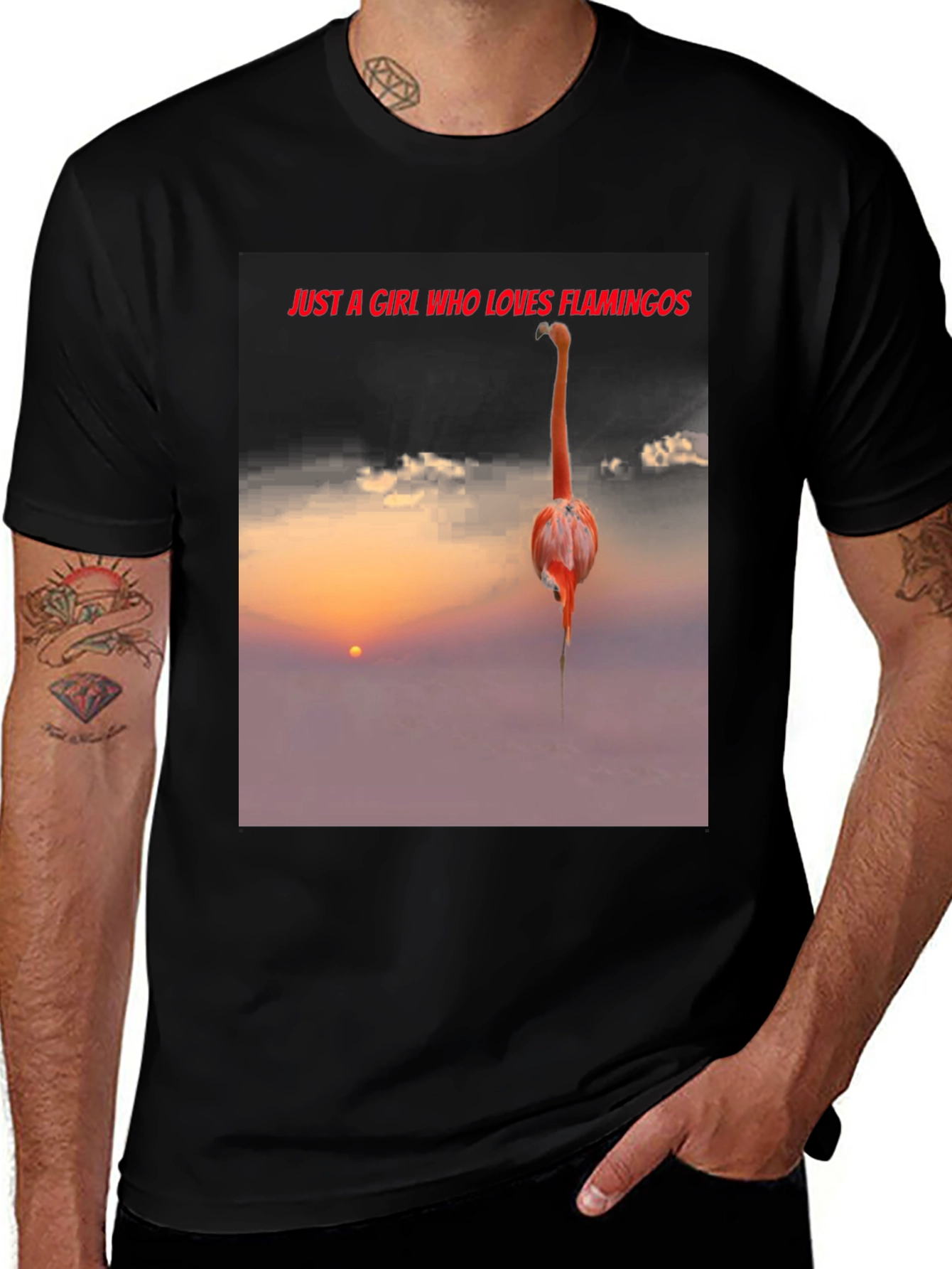 Variant 25 of Flamingo Sunset Graphic Tee - Just A Girl Who Loves Flamingos