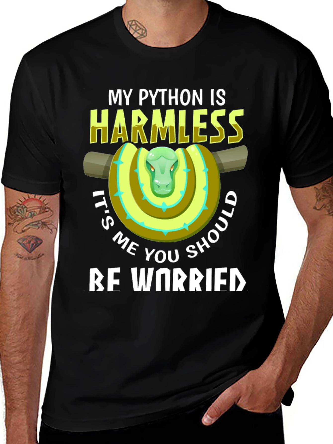 Variant 5 of My Python Is Harmless Funny Snake T-Shirt