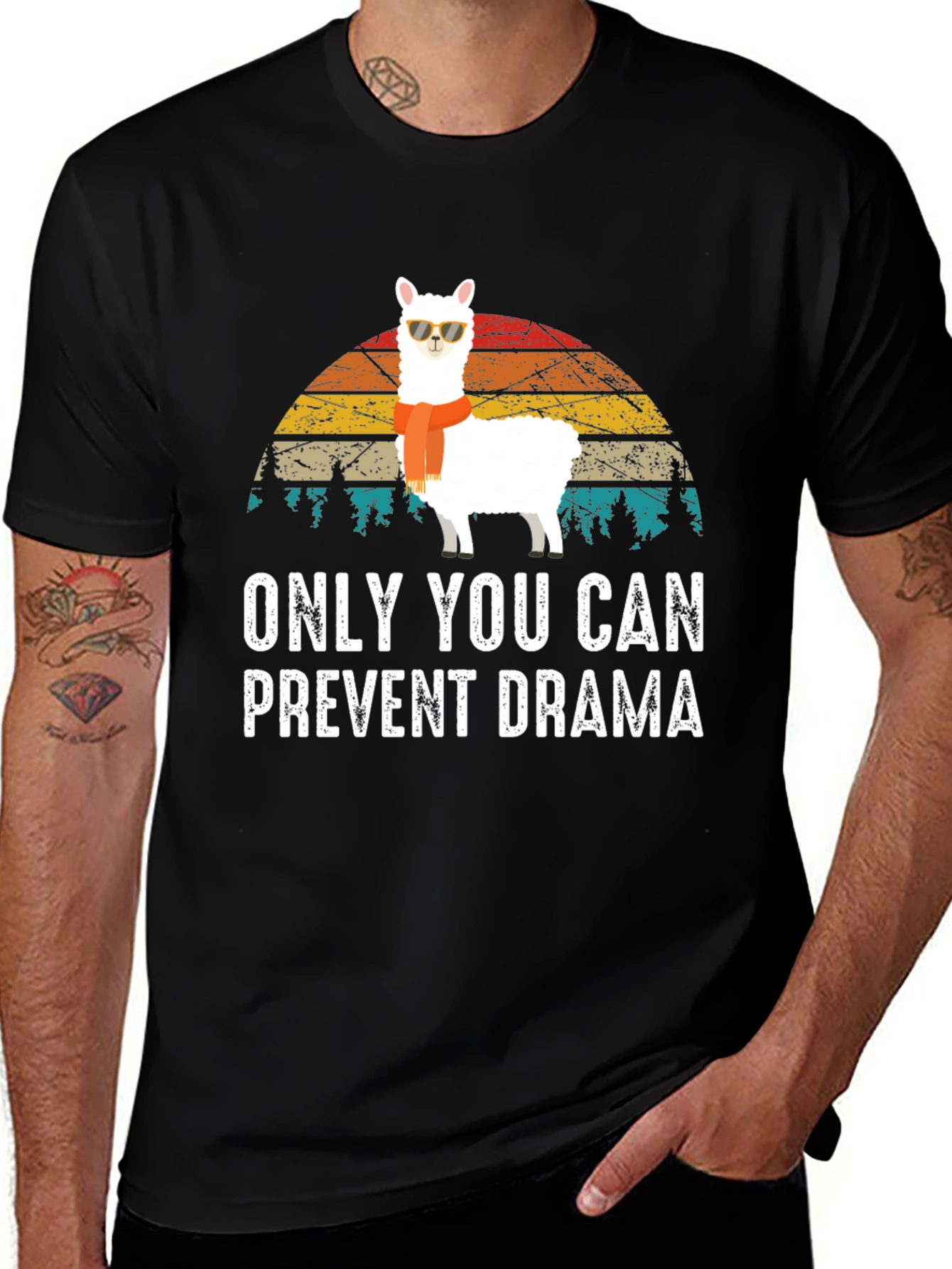 Variant 2 of Only You Can Prevent Drama Llama T-Shirt