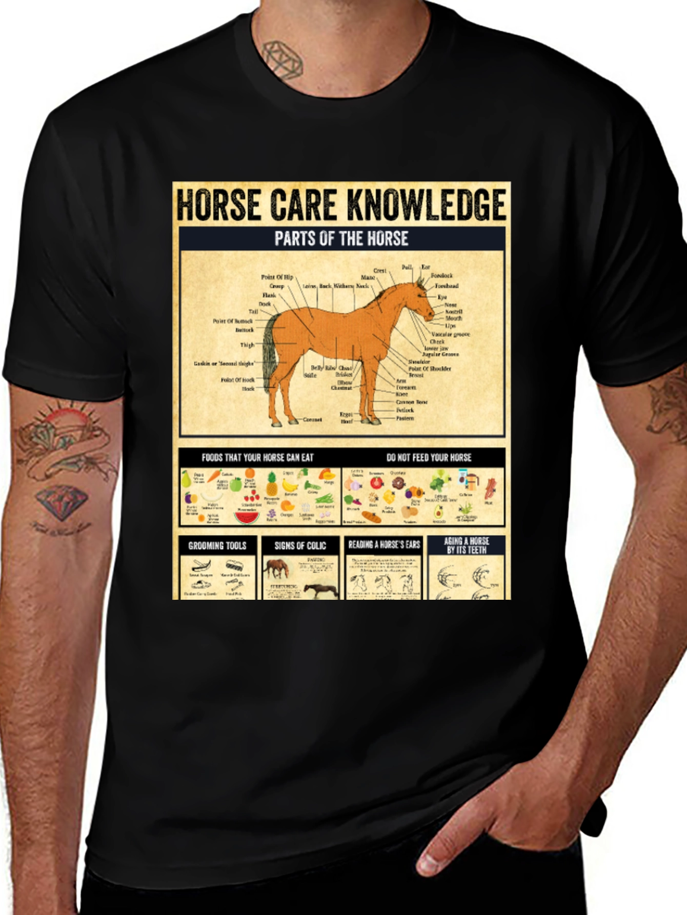 Horse Care Knowledge T-Shirt