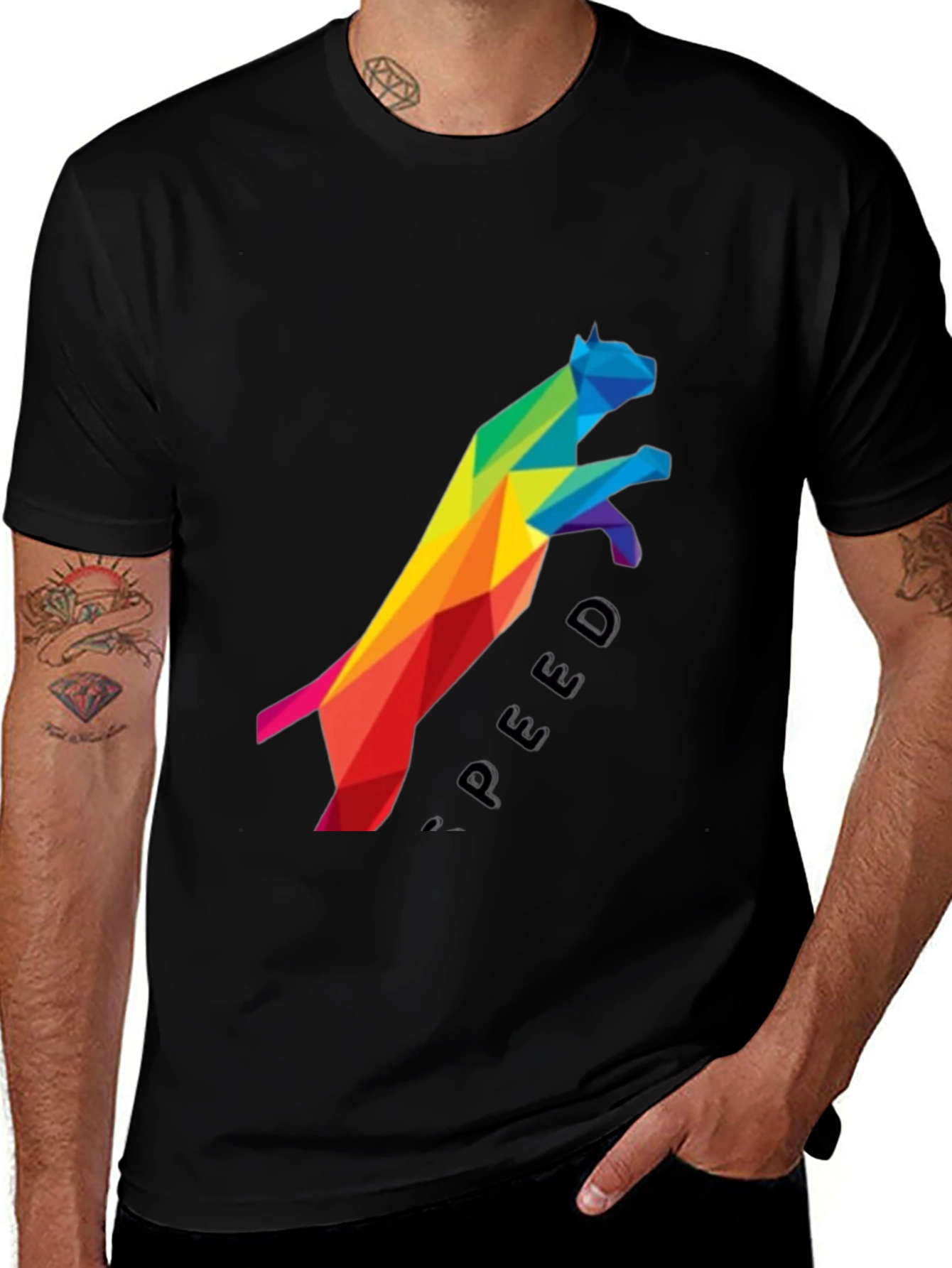 Variant 19 of Geometric Rainbow Cat Speed Graphic Tee