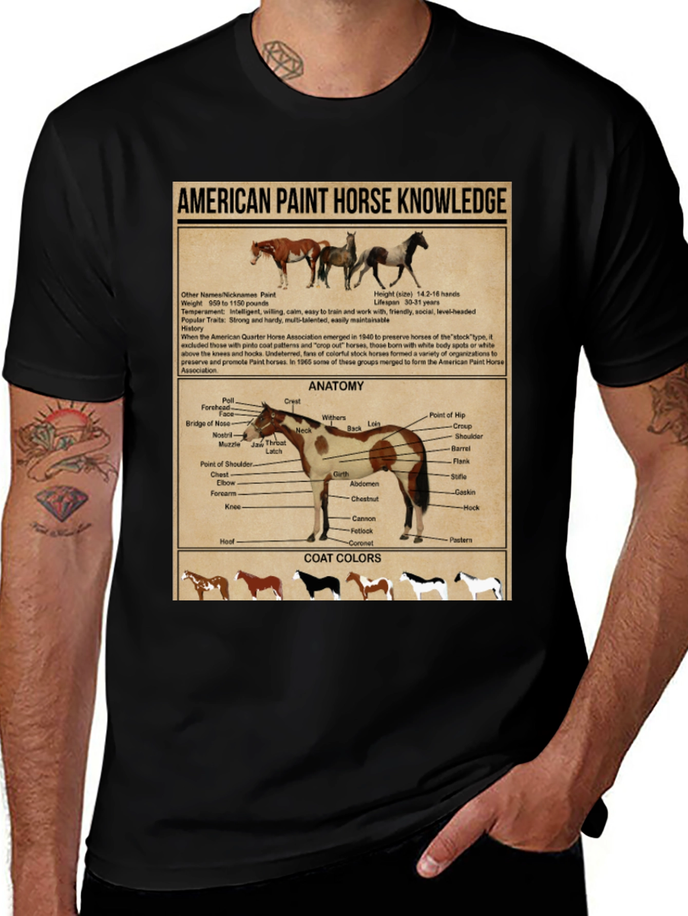 American Paint Horse Knowledge T-Shirt