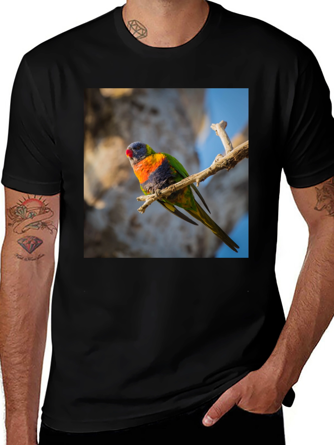 Variant 13 of Rainbow Lorikeet T-Shirt - Nature Inspired Apparel