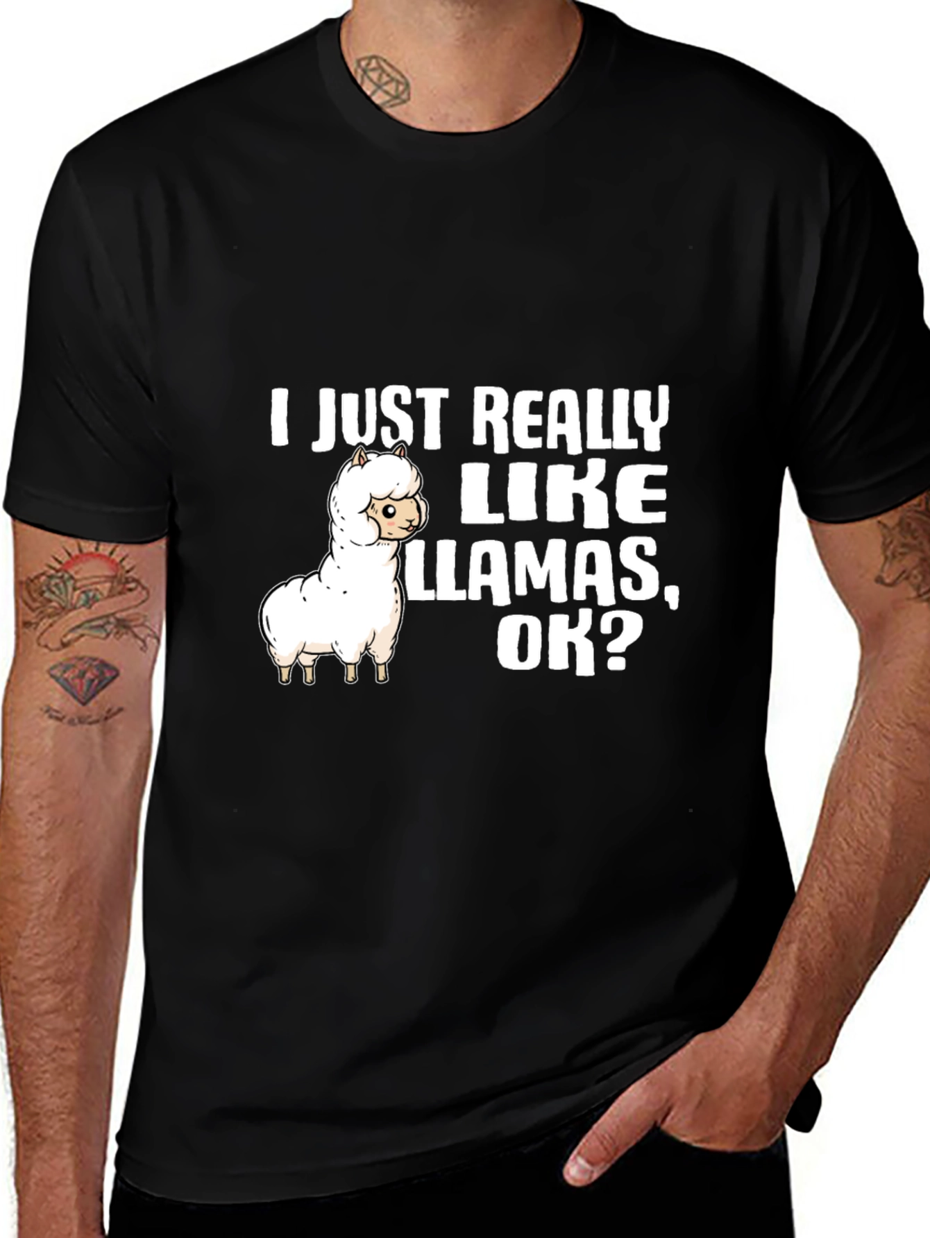 Variant 15 of Llama Lover T-Shirt: I Just Really Like Llamas, OK?