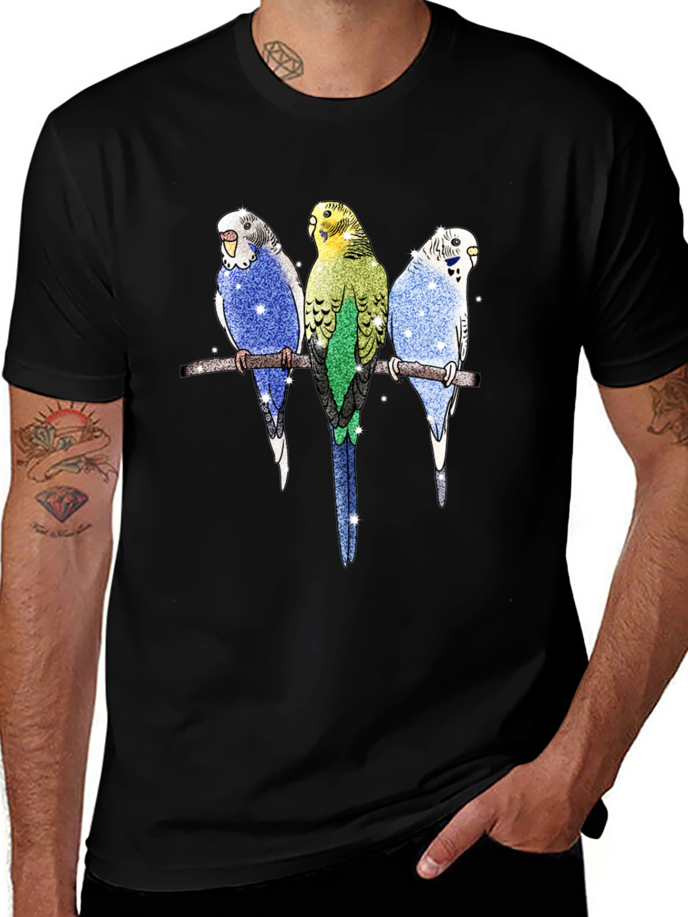 Variant 4 of Parakeet Birds Graphic Print Men's T-Shirt