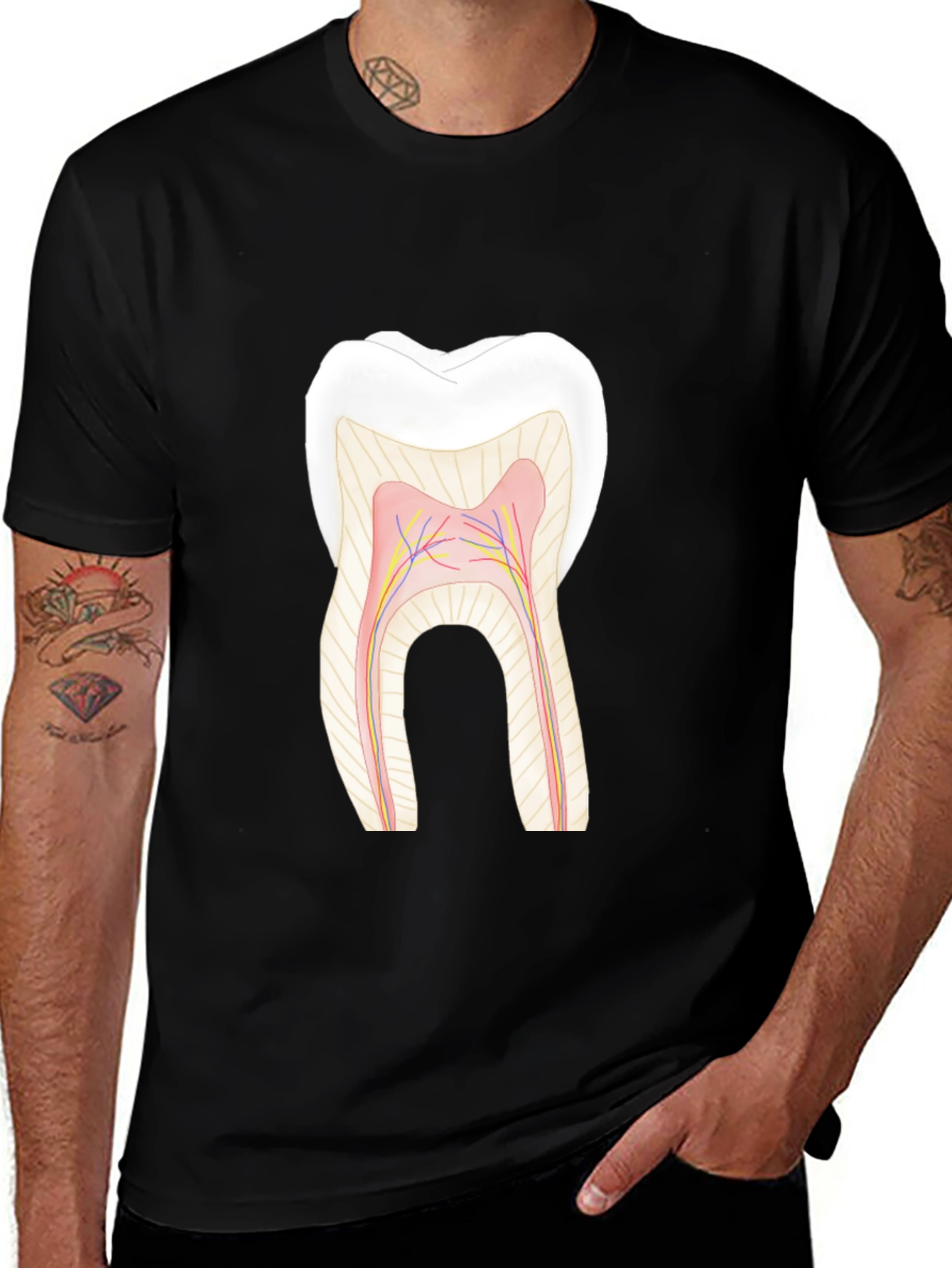 Variant 24 of Anatomy Tooth Graphic T-Shirt - Dental Health Awareness Tee