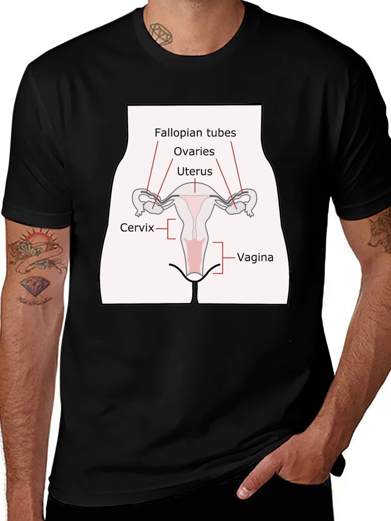 Variant 17 of Anatomy Humor T-Shirt: Female Reproductive System