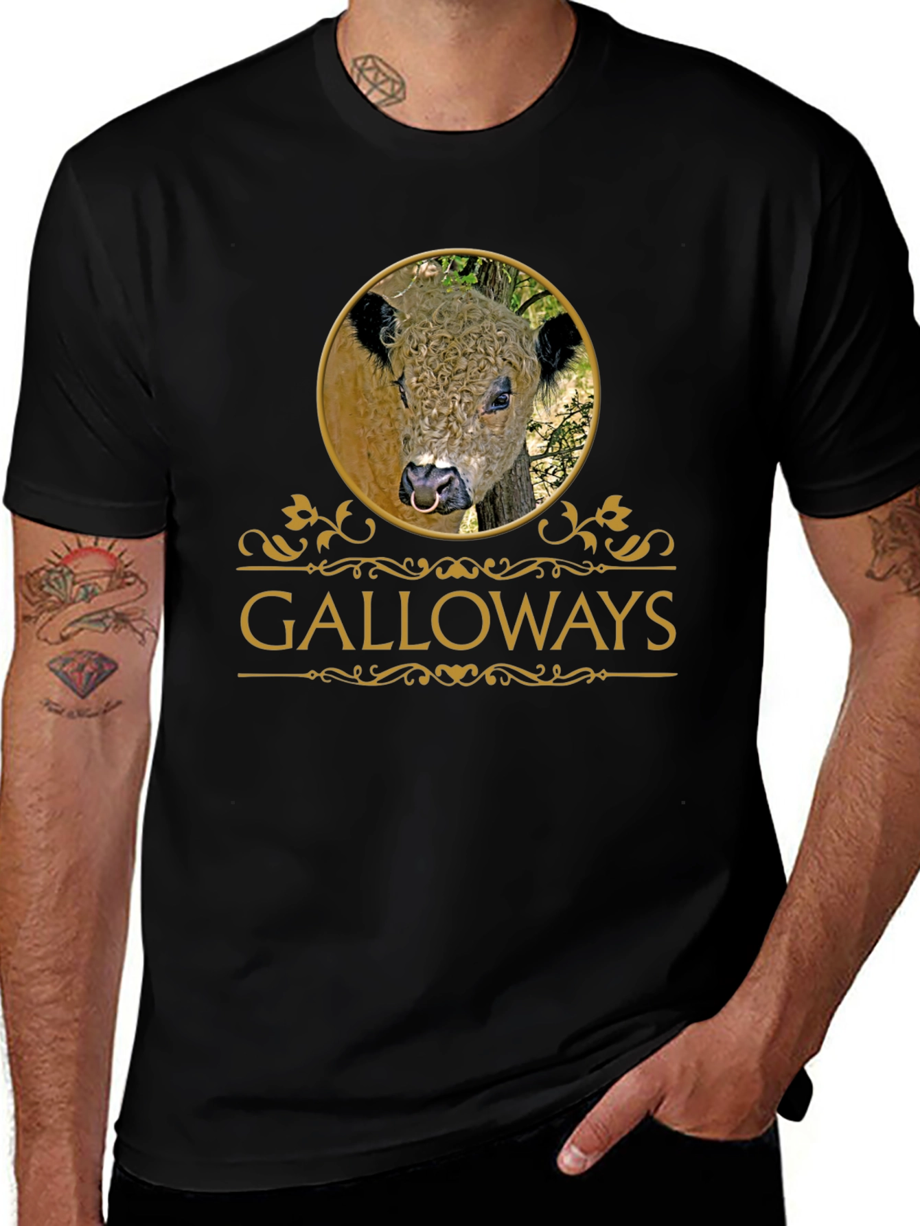 Galloway Bull T-Shirt - Unique Graphic Tee
