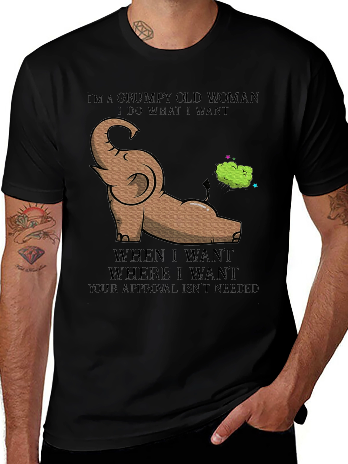 Variant 18 of Grumpy Old Woman T-Shirt Funny Elephant Humor Tee