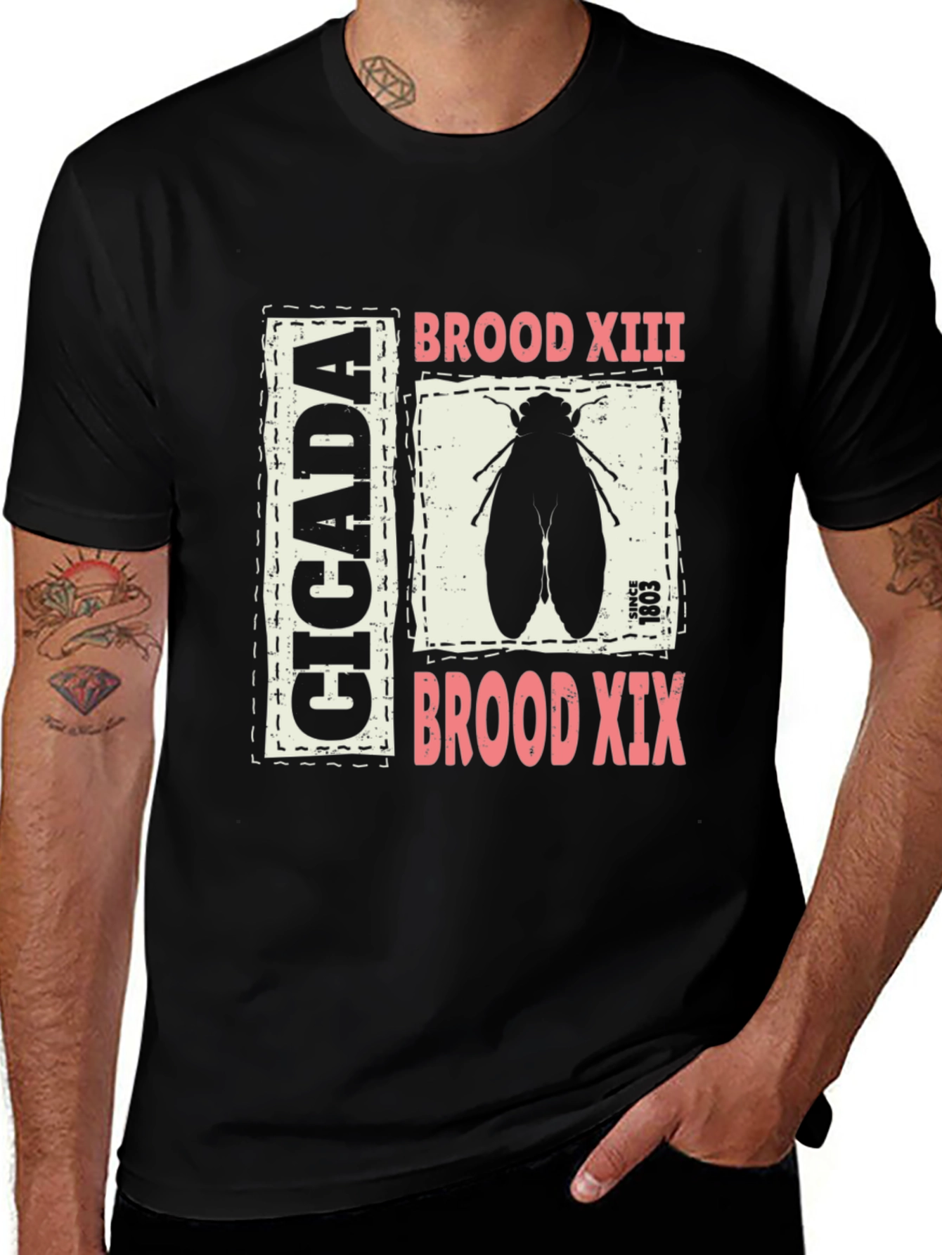 Cicada Brood XIII & XIX Black T-Shirt