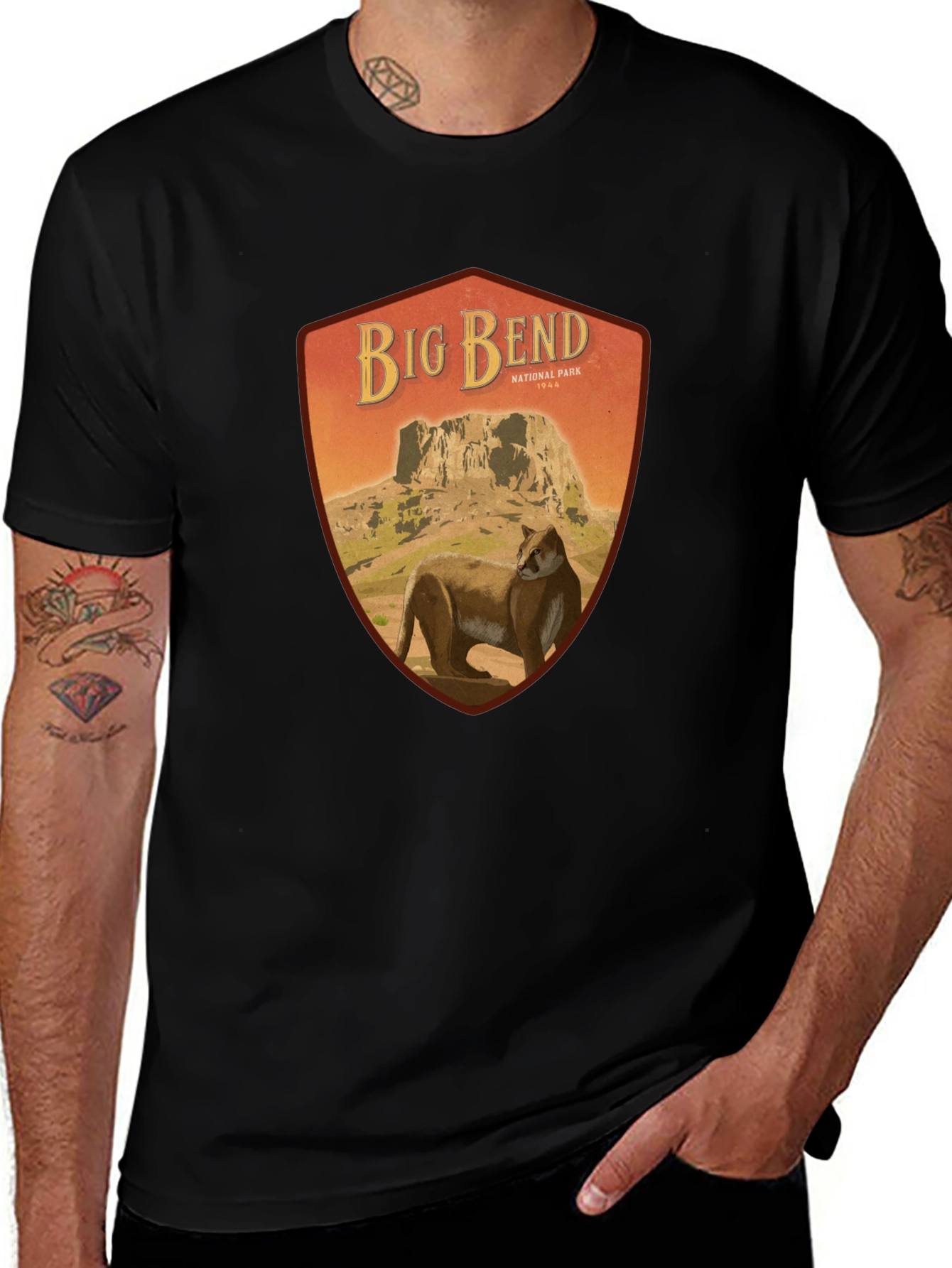 Variant 11 of Big Bend National Park Graphic Tee